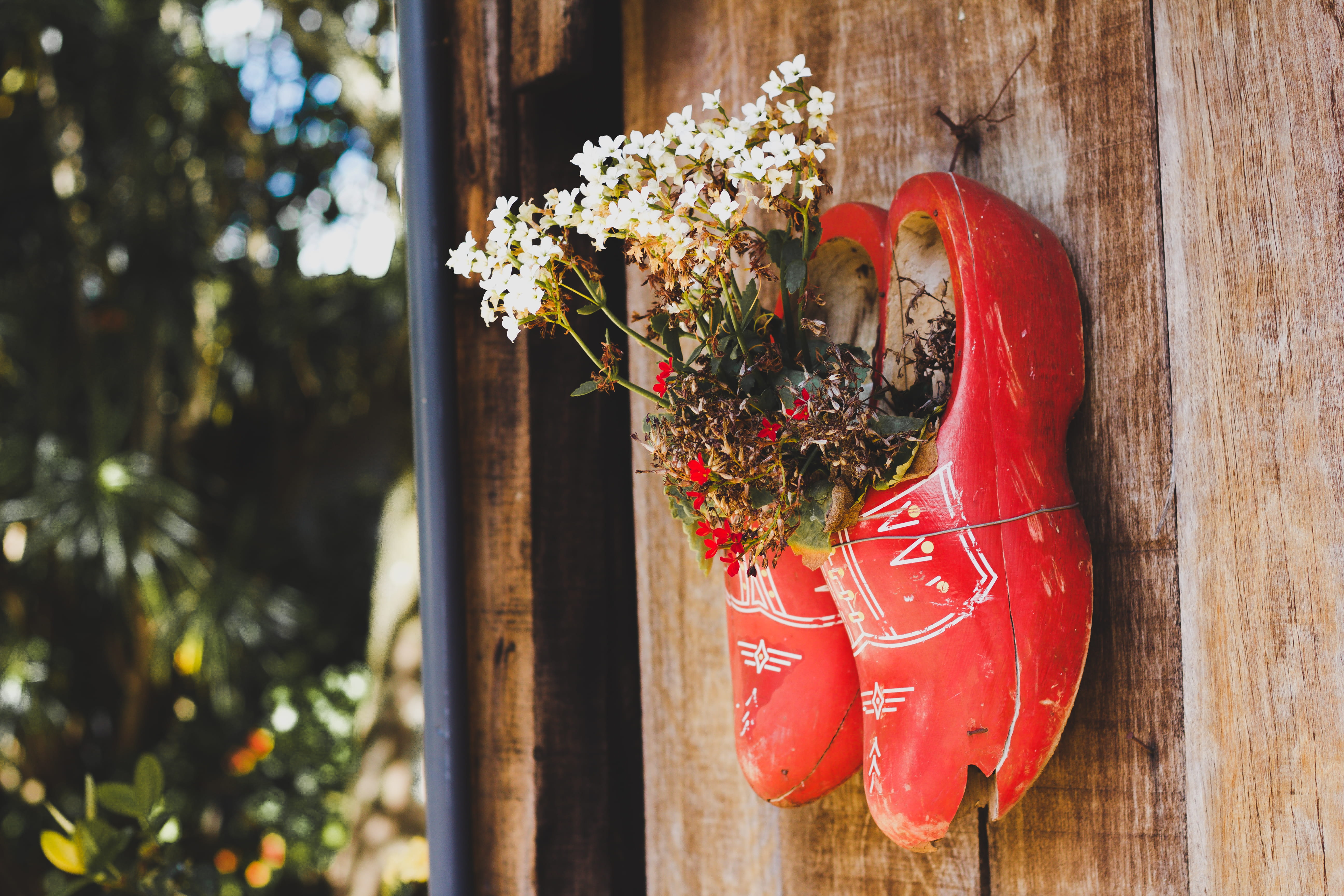 flora, nature, wood - material, holiday, wood, growth, christmas ornament, outdoors, celebration, colors, wooden, wooden wall, decoration, close-up, christmas decoration, HD Wallpaper