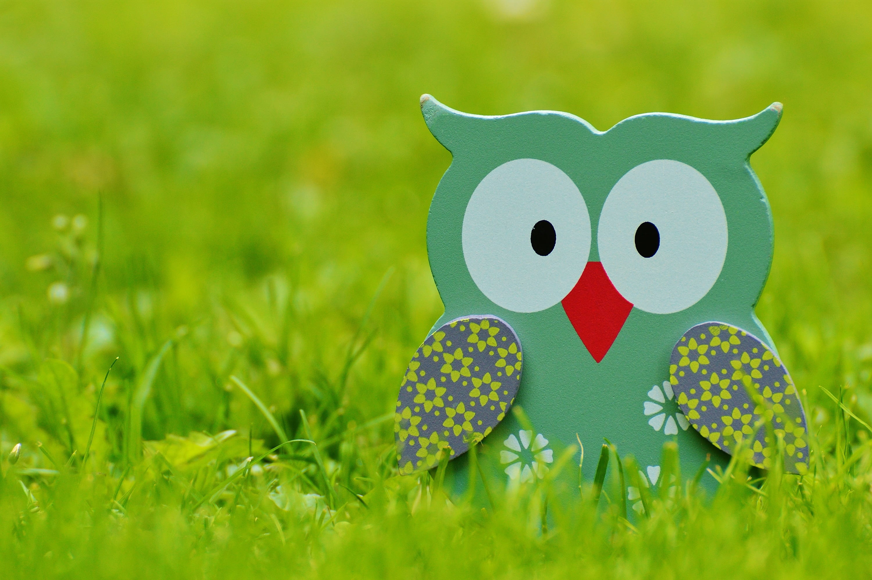 2K, outdoors, painted, grass, clover, deco, animal, lawn, funny, holzfigur, cute, decoration, no people, representation, creativity, animal representation, HD Wallpaper