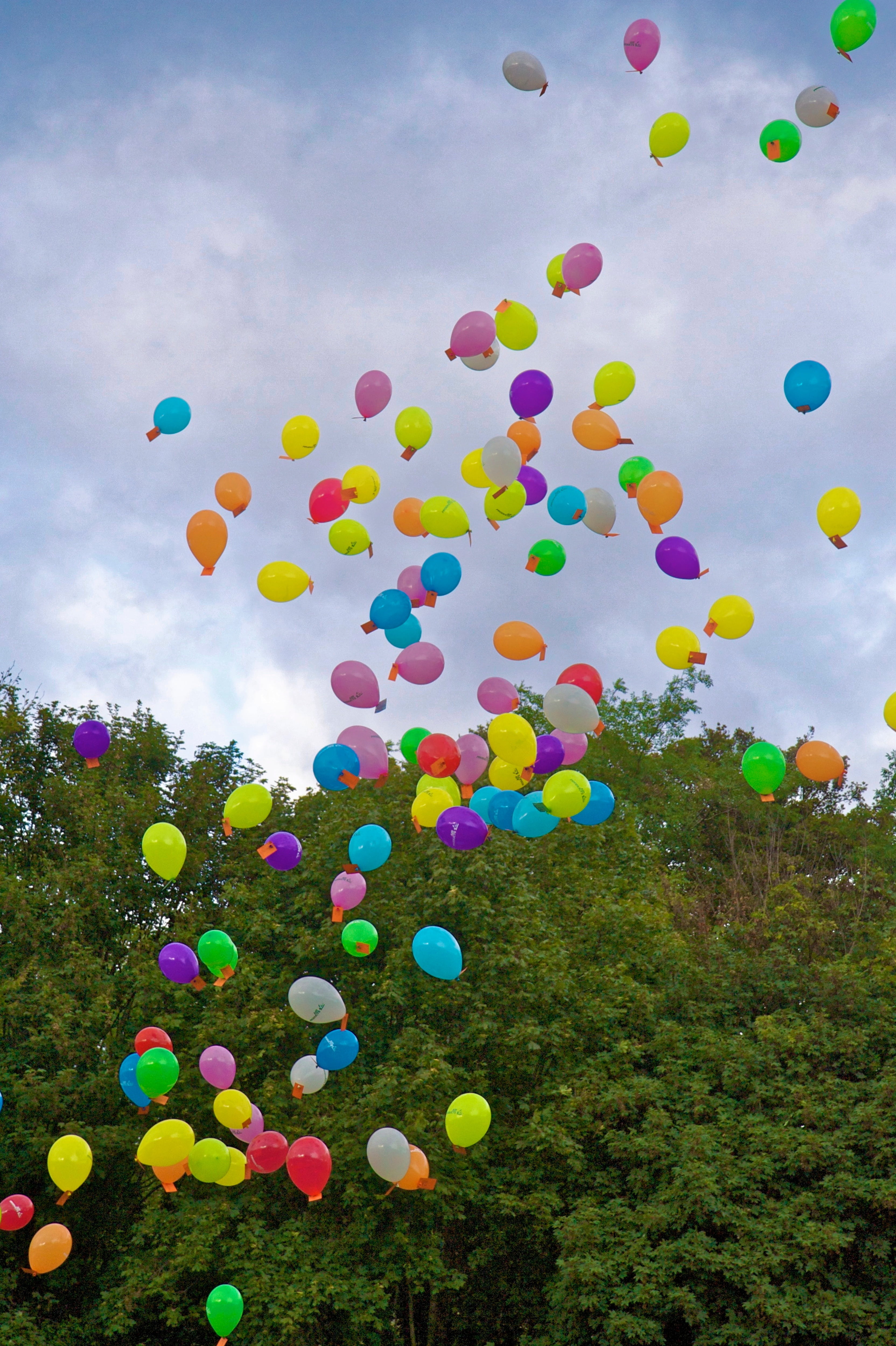 helium balloon, celebration, green, flying, decoration, abundance, cloud - sky, colorful, fly, multicolored, outdoors, plastic, float, tree, event, multi colored, Phone HD Wallpaper