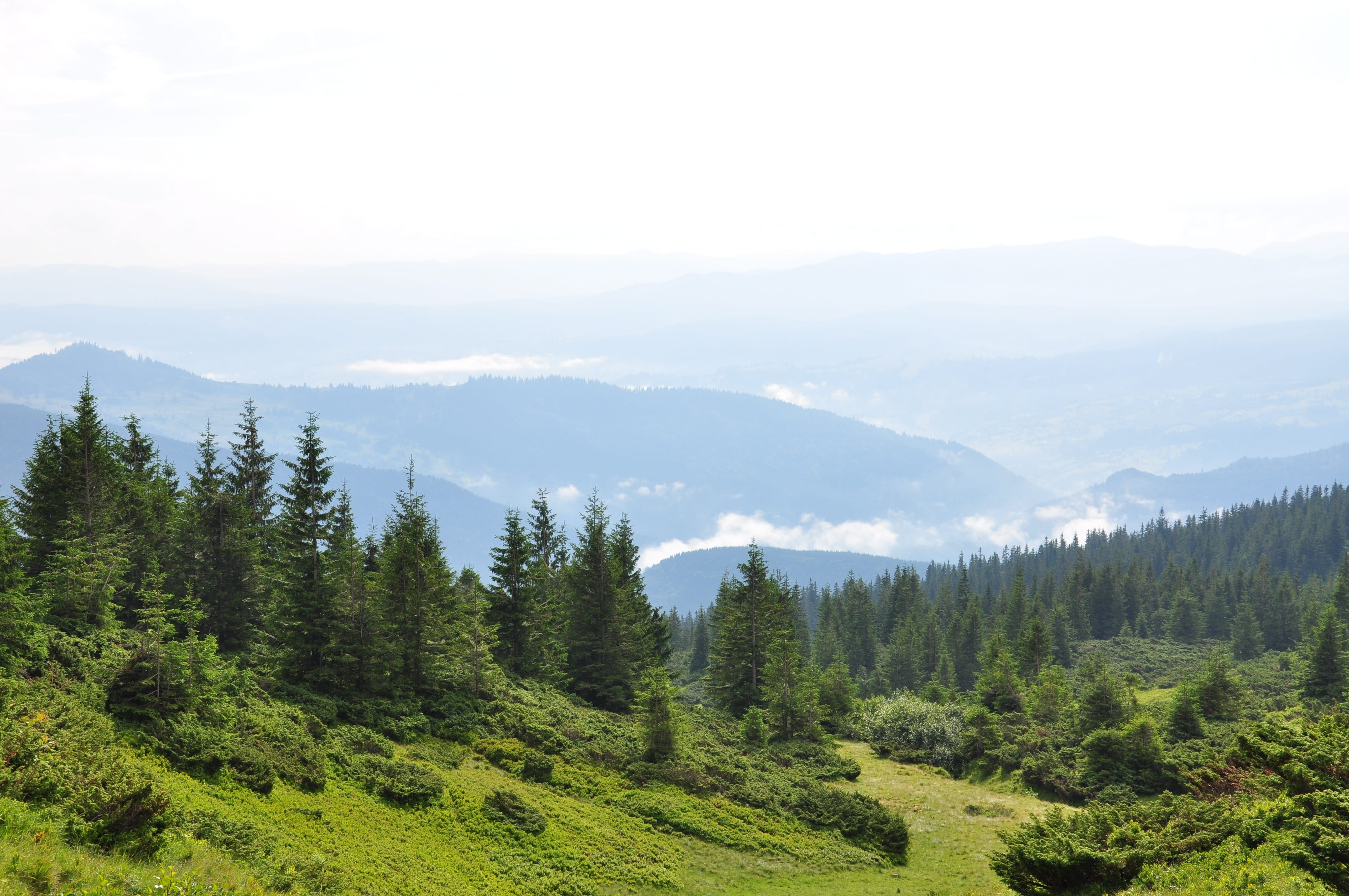 tranquil scene, mountain range, landscape, nature, greens, beauty in nature, growth, appeasement, mountain, idyllic, mountains, plant, tranquility, summer in the mountains, HD Wallpaper