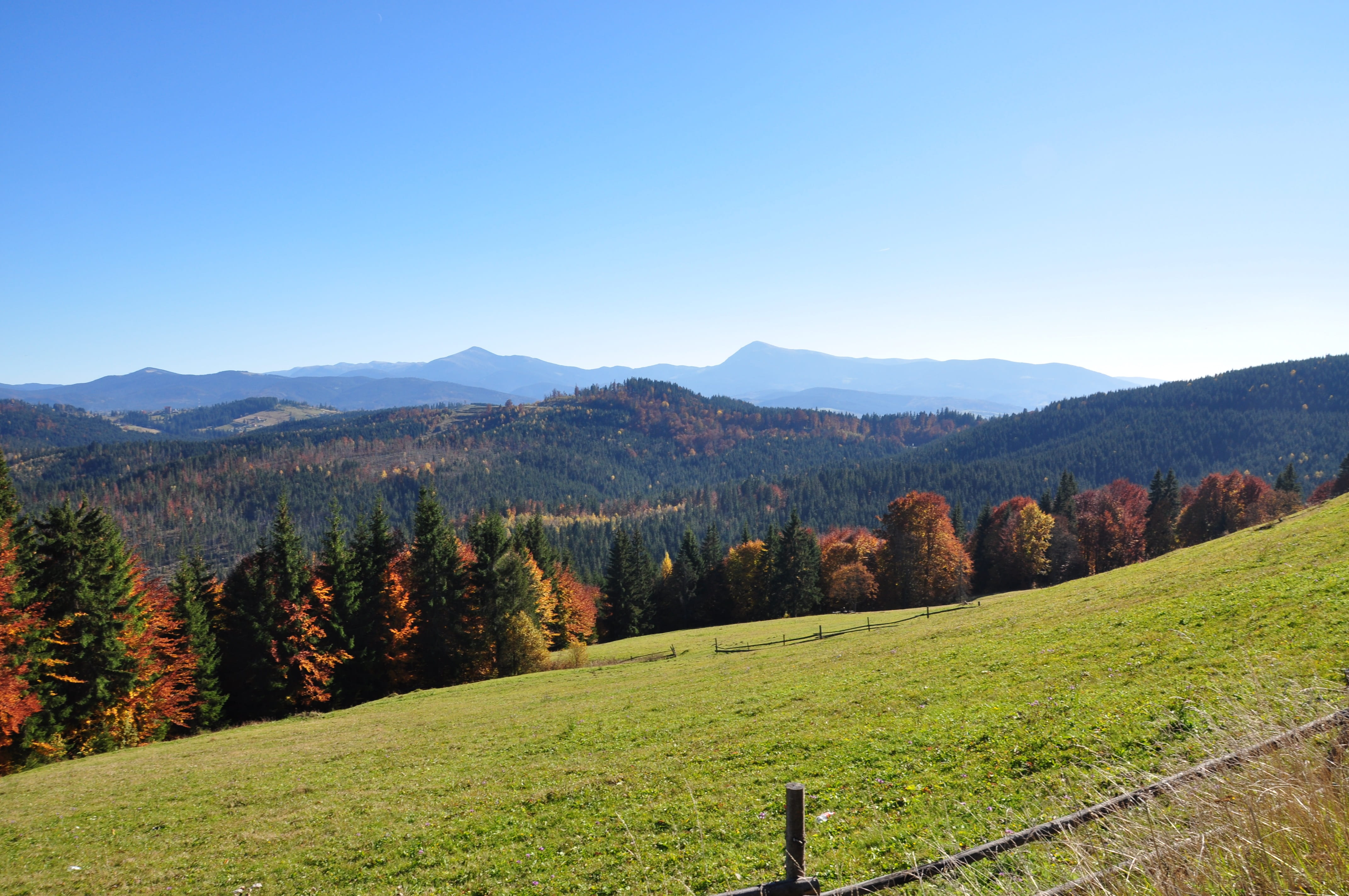 change, landscape, idyllic, watching, field, the carpathians, forest, harmony, scenics - nature, appeasement, 4K, beauty in nature, plant, mountain, philosopher, HD Wallpaper