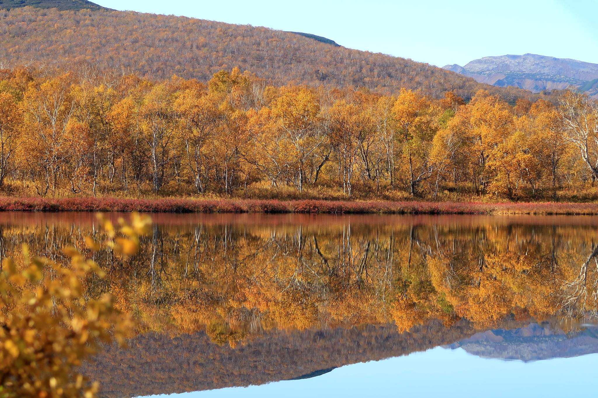mountain, water, tree, scenics - nature, nature, forest, autumn day, silence, 1080P, change, mirror, trees, waterfront, plant, tranquil scene, lake, autumn, HD Wallpaper