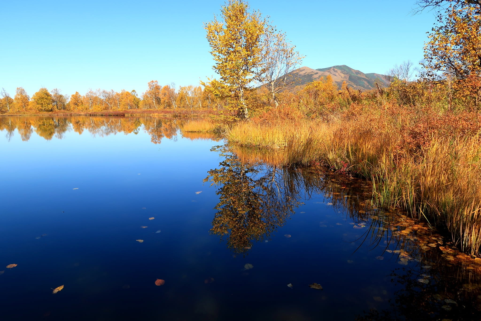 mirror, non-urban scene, nature, waterfront, scenics - nature, no people, lake, fall colors, body of water, growth, golden autumn, tranquil scene, sky, HD Wallpaper