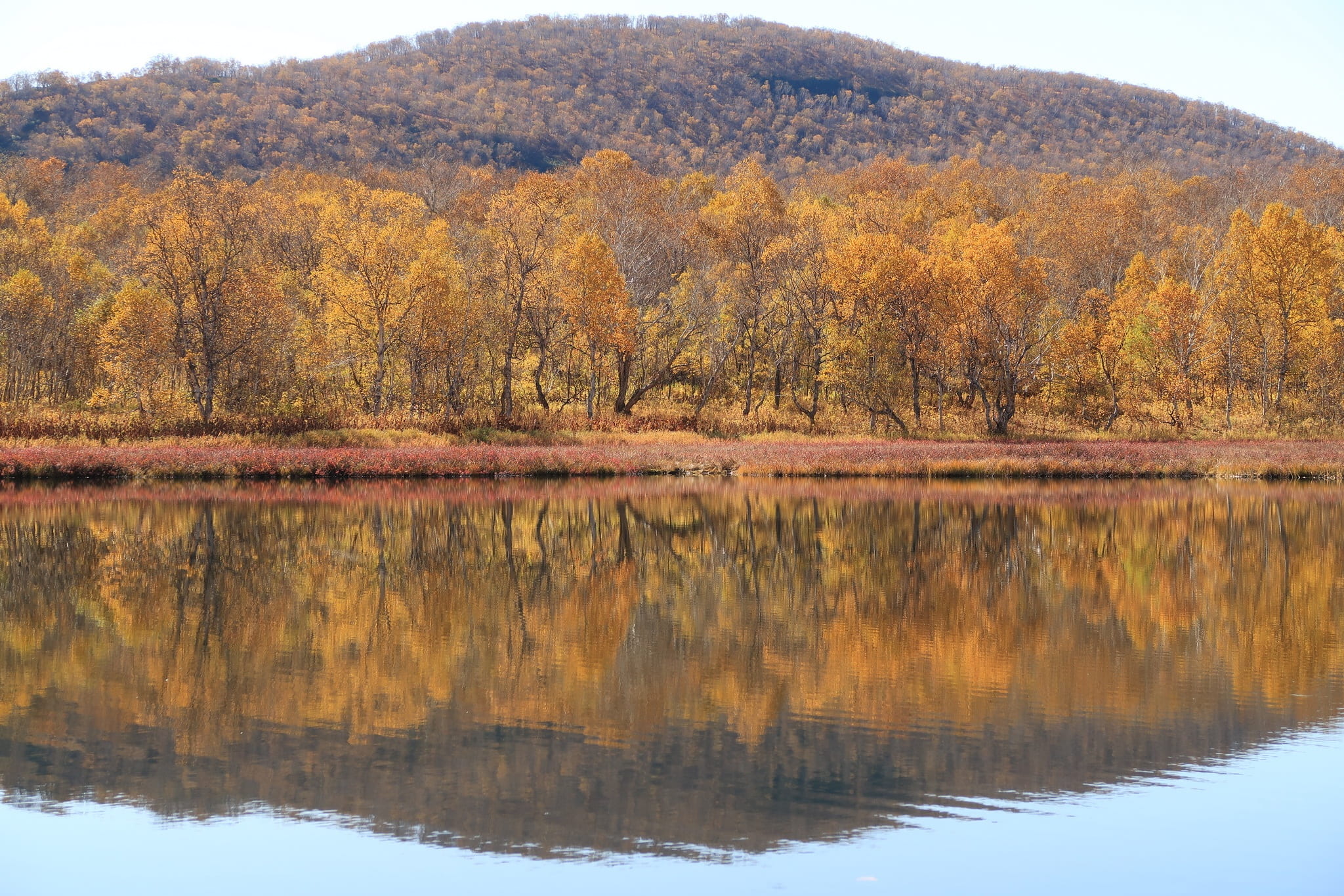appeasement, forest, tranquility, mountains, lake, tree, beauty in nature, scenics - nature, idyllic, golden autumn, landscape, body of water, waterfront, HD Wallpaper