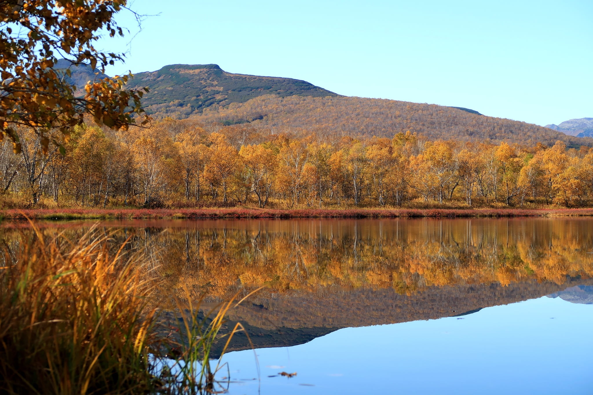 body of water, fall colors, tranquility, day, golden autumn, reflection, sky, trees, outdoors, silence, water, mountains, no people, idyllic, waterfront, HD Wallpaper