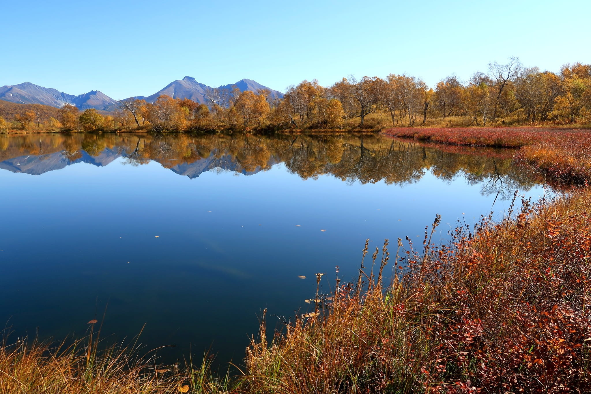 reflection lake, clear sky, appeasement, tranquil scene, body of water, 1080P, day, tree, golden autumn, trees, idyllic, landscape, sky, scenics - nature, HD Wallpaper