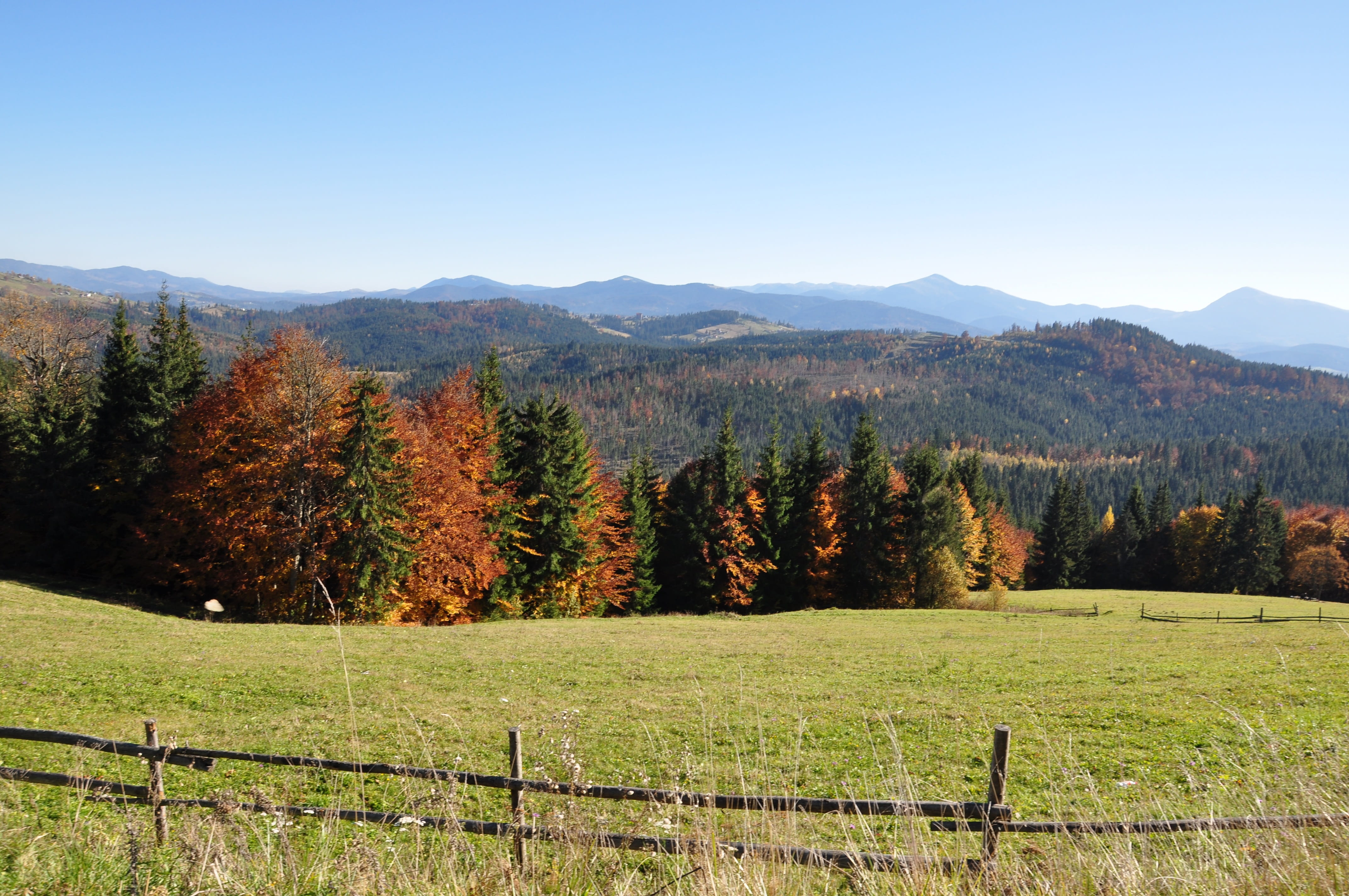 idyllic, tranquility, beauty in nature, philosopher, 4K, no people, autumn, outdoors, tree, fence, the carpathians, appeasement, change, harmony, boundary, HD Wallpaper