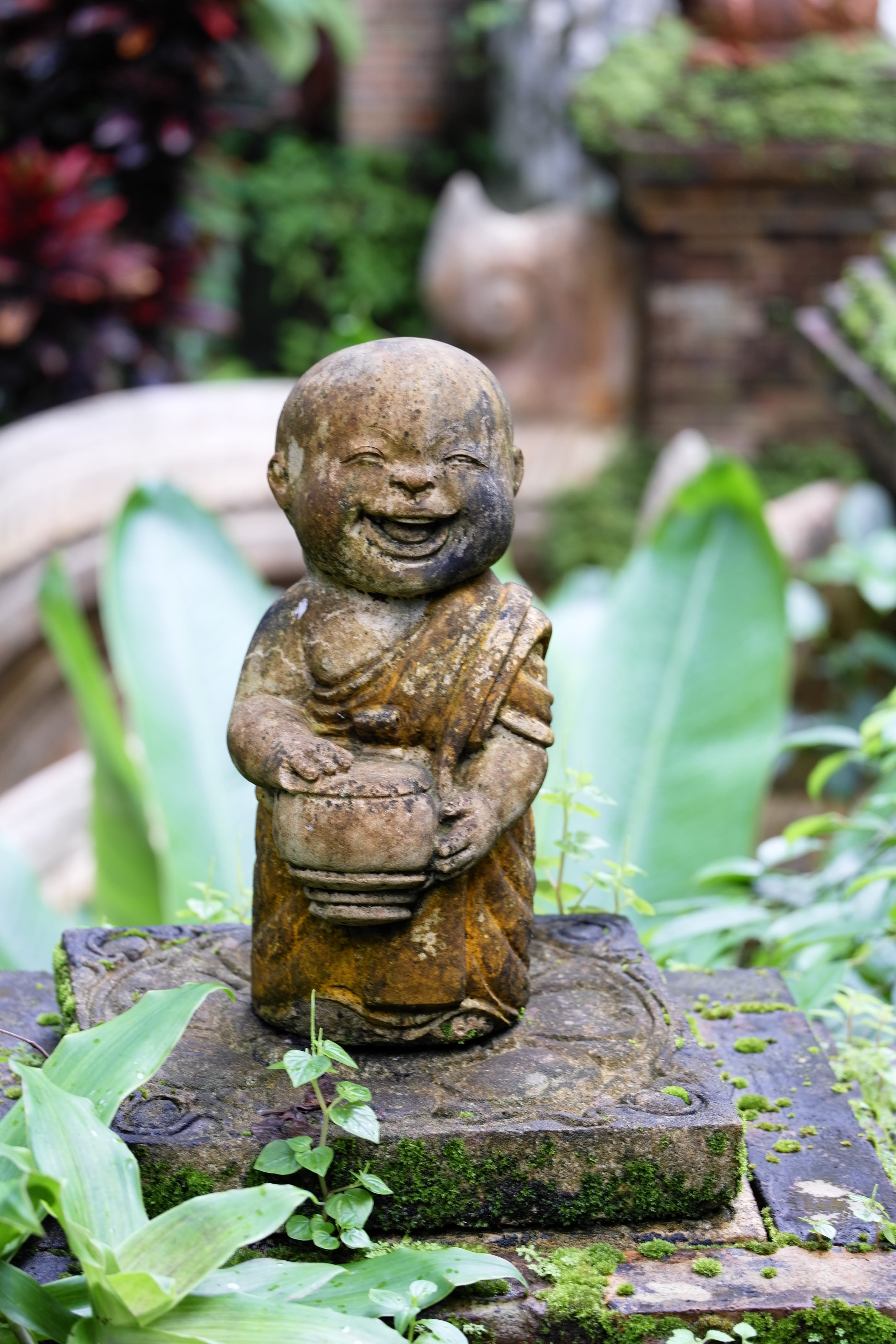 chiang mai, focus on foreground, nature, plant, close-up, spirituality, no people, statue, religion, doi suthep mountain, craft, bonze, stone carving, art and craft, Phone HD Wallpaper