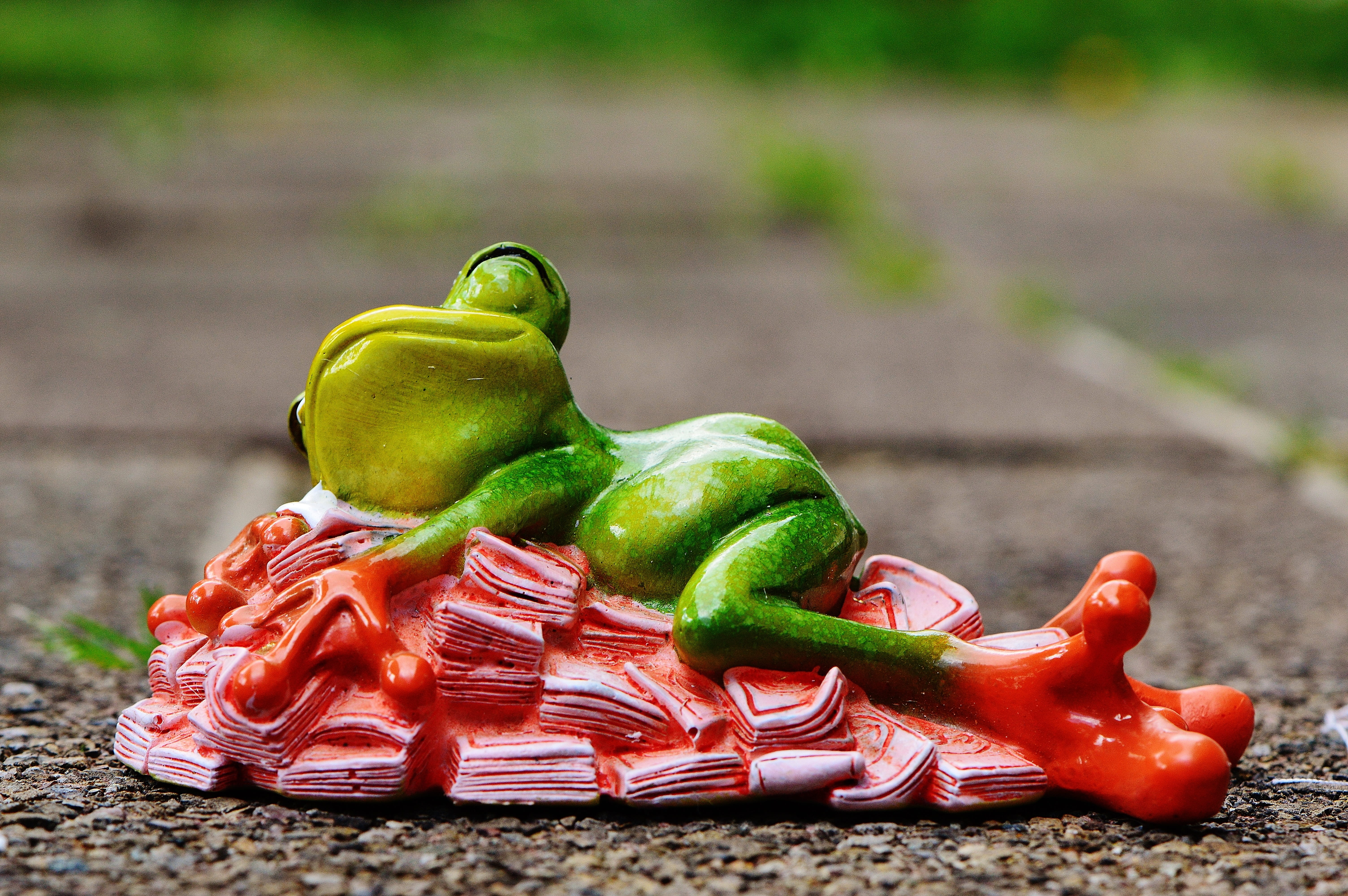 wellbeing, sweet, vegetable, vegetarian food, healthy eating, freshness, food and drink, day, close-up, money soothes, animal, funny, focus on foreground, HD Wallpaper