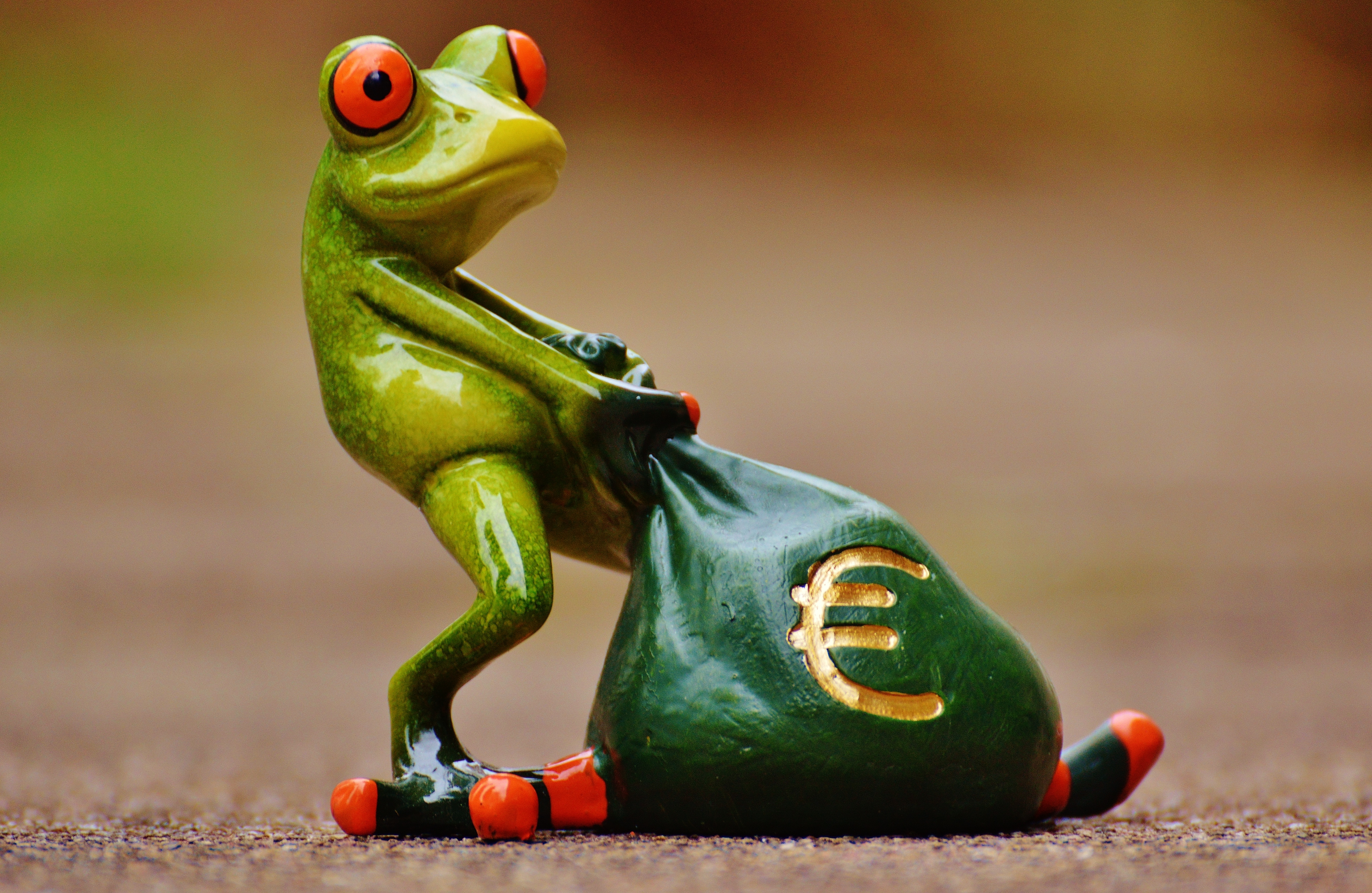 bag, creativity, sculpture, reserves, amphibian, empire, cute, green color, days wealthy, representation, frog, animal wildlife, money bag, vertebrate, HD Wallpaper