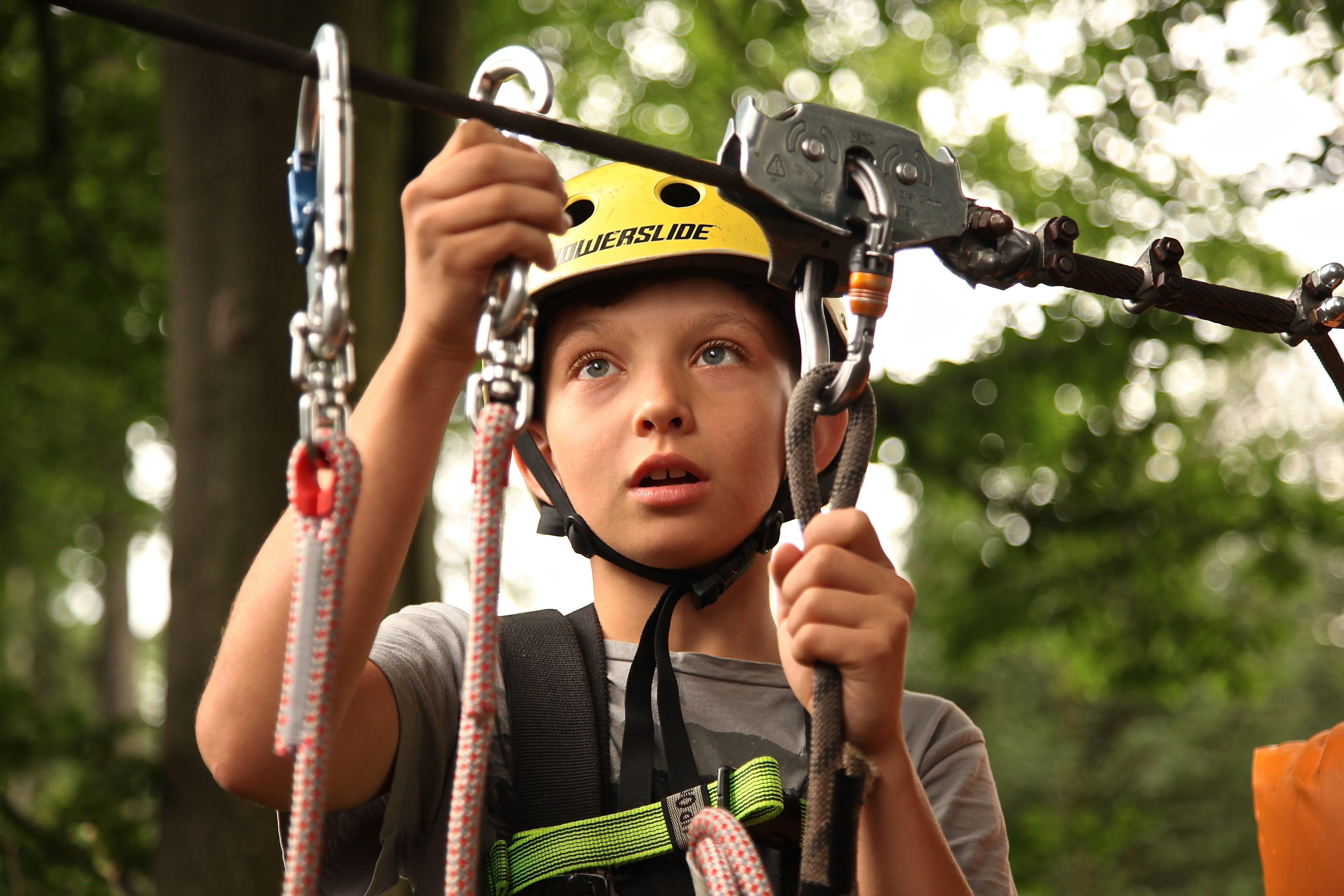 adventure, young, climbing, holding, harness, boy, carabiners, kid, leisure activity, portrait, outdoors, tree, sport, looking at camera, fun, real people, HD Wallpaper