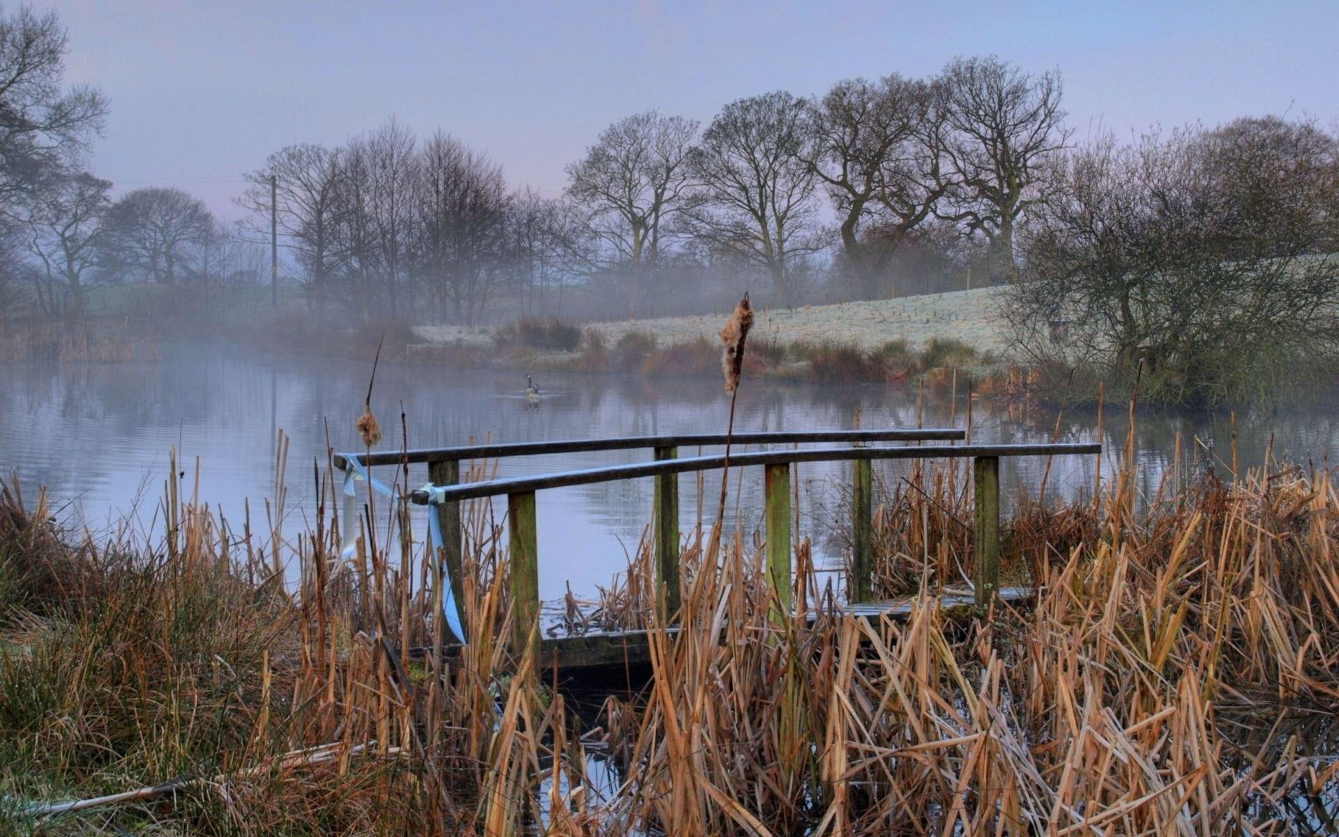 misty, broken, bridge, 1080P, ducks, mist, pond, nature and landscapes, order, HD Wallpaper
