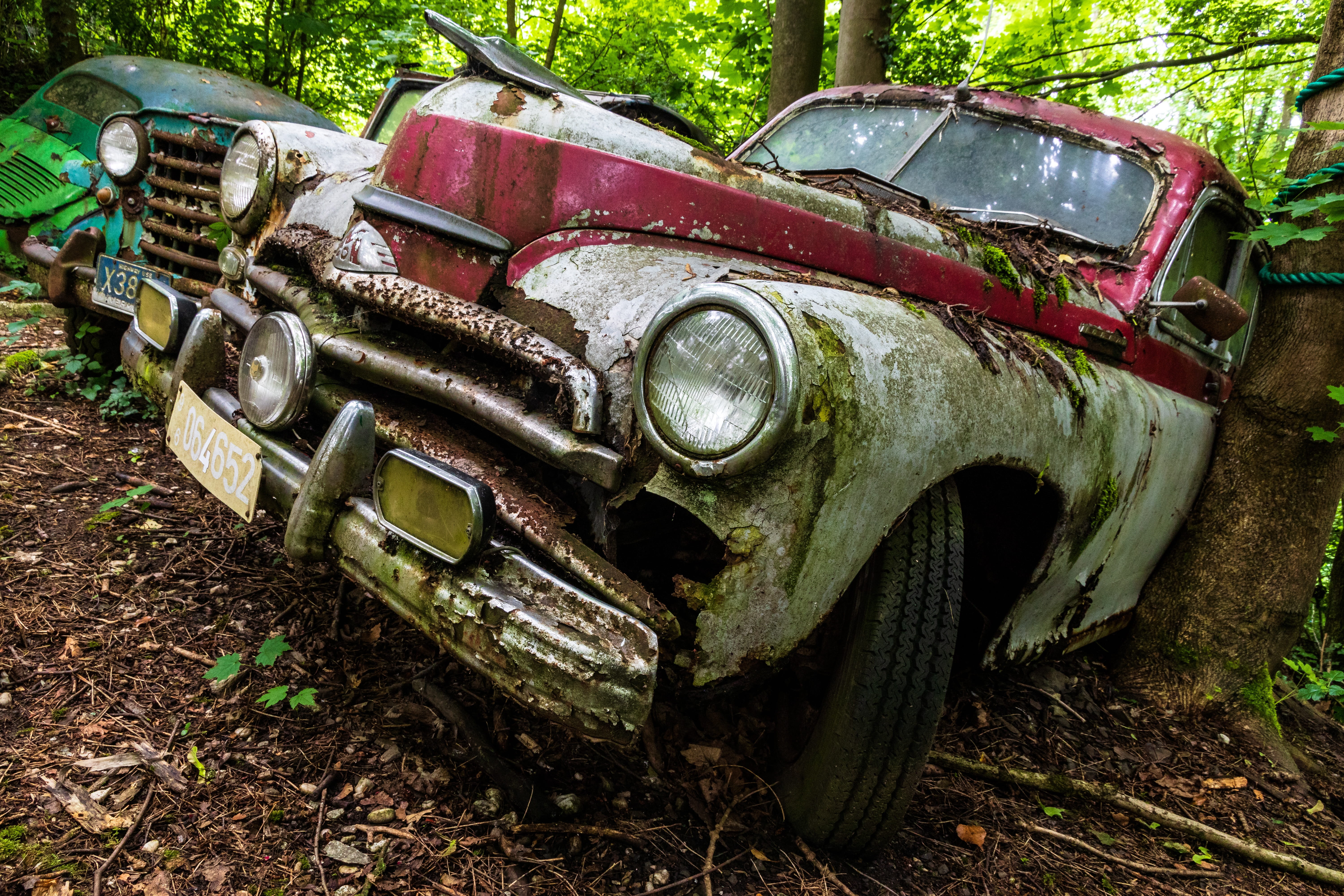 junkyard, lost places, vintage car, car wreck, plant, abandoned, land vehicle, 5K, ruined, scrap car, field, deterioration, pkw, rust, rusty, land, rusted, HD Wallpaper