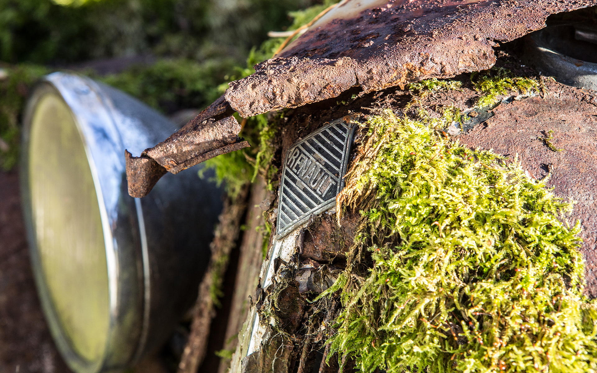 rust, car, classic, hd, urban, moss, cars, decay, abandon, 1080P, renault, deserted, HD Wallpaper