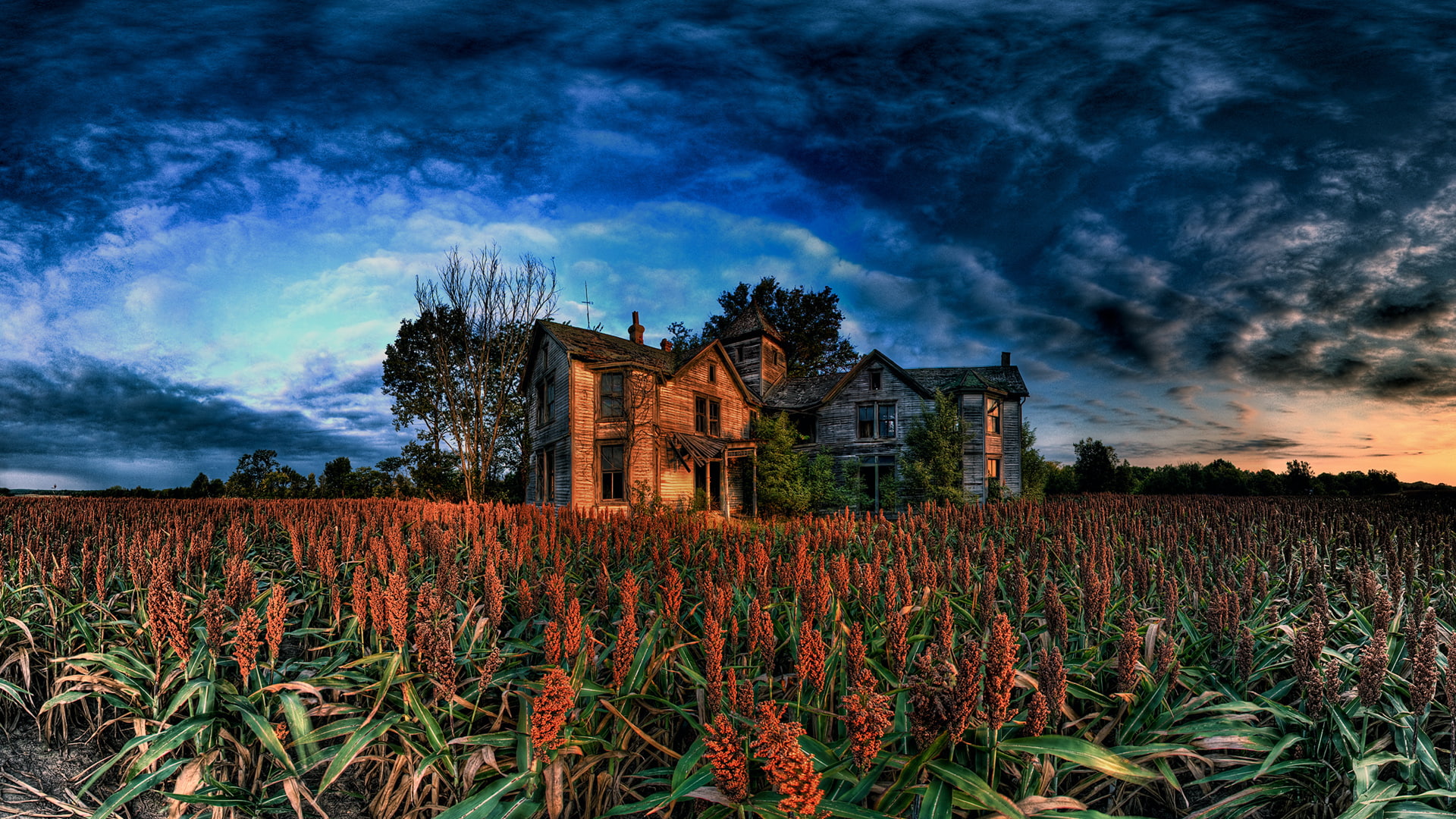 1080P, house, abandon, hdr, hd, urban, nature, abandoned, field, decay, HD Wallpaper