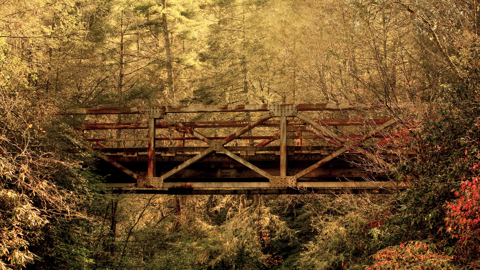 1080P, brow, red, hd, abandon, deserted, trees, bridge, nature, rust, HD Wallpaper