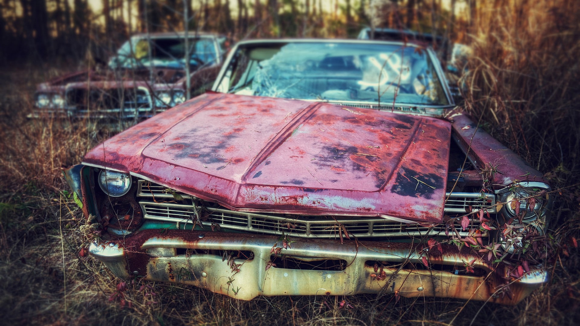 car, deserted, classic, cars, abandon, hd, 1080P, HD Wallpaper
