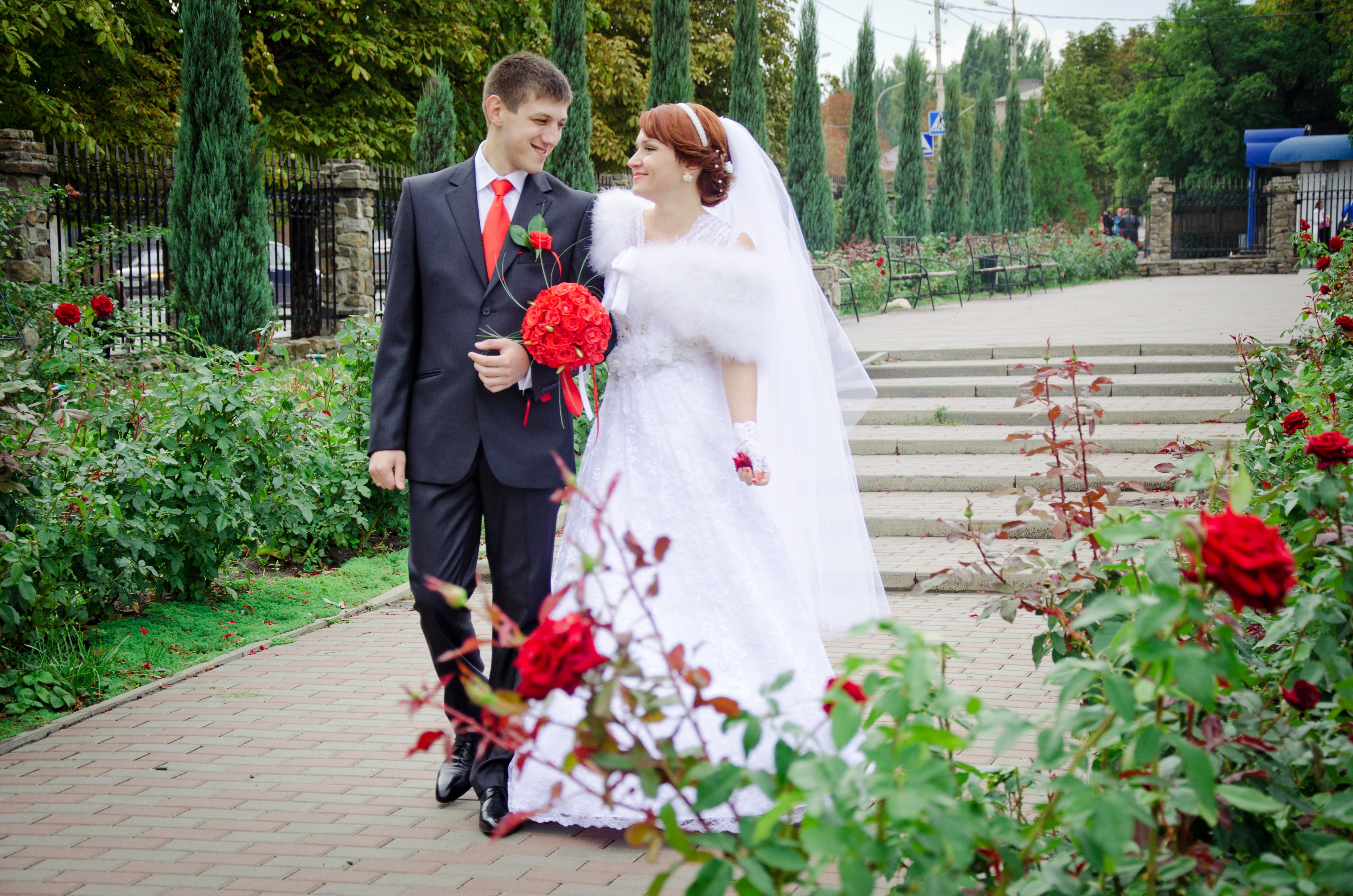 Kiss, beauty, young adult, two people, just married, suit, married, life events, couple, event, woman, men, celebration, walking, plant, love, mood, Bride, HD Wallpaper