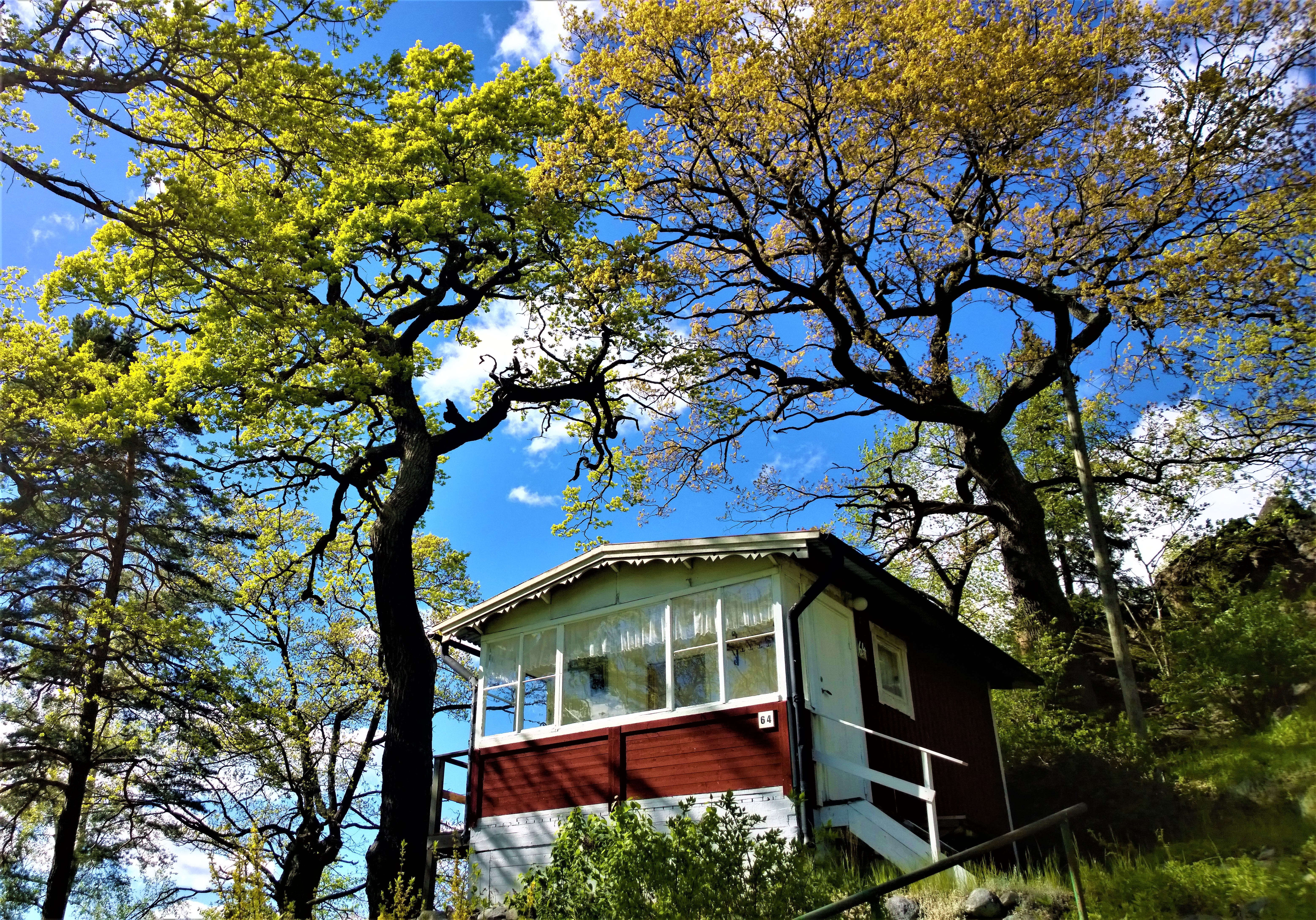 low angle view, building exterior, house, land, torp, forest, outdoors, cabin, greenery, view, outdoor, sweden, balcony, travel, holiday village, architecture, HD Wallpaper