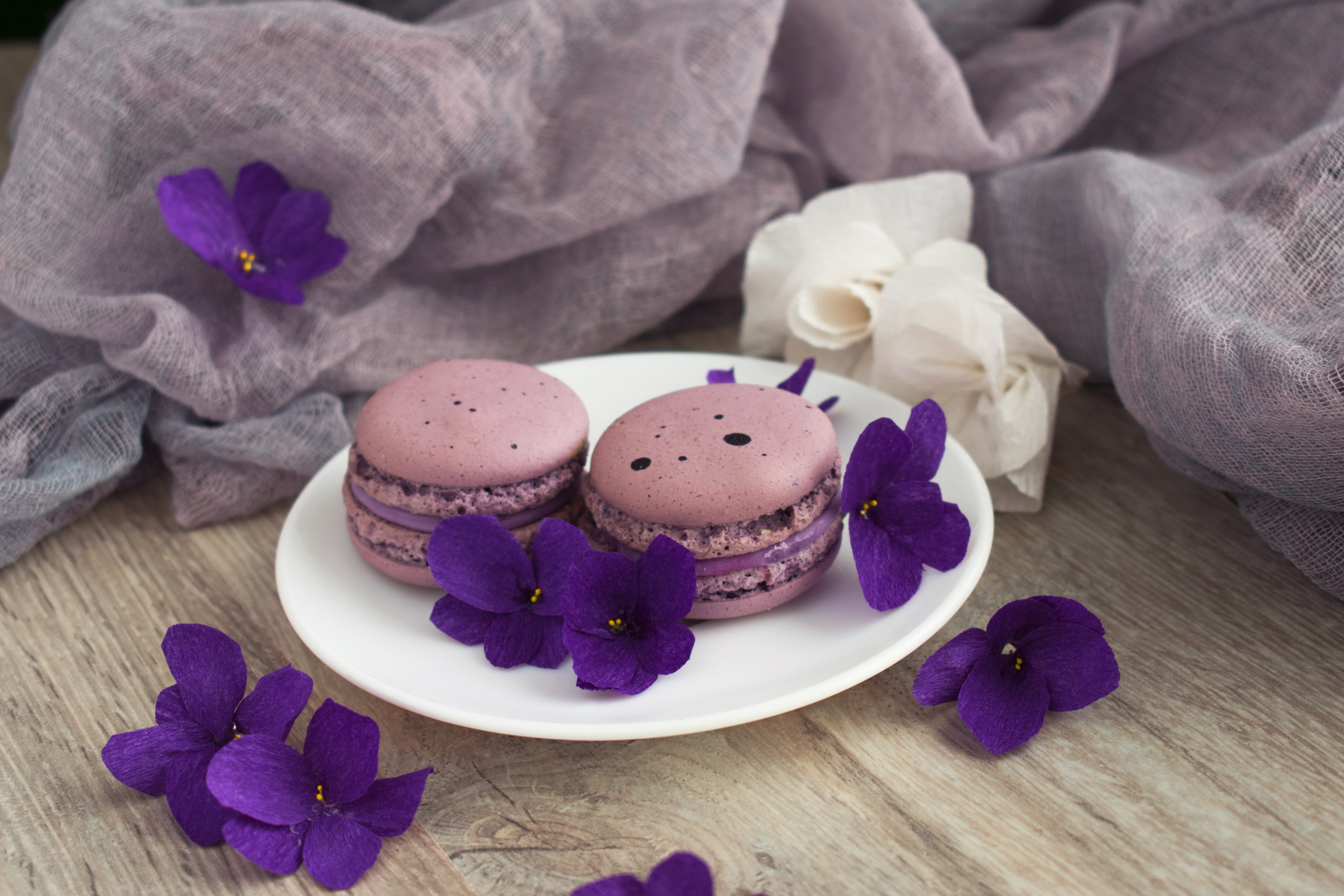 freshness, sweets, 5K, macarons, baked, white, macro, purple, close-up, plate, two, lilac, indoors, illustration, cookies, beauty in nature, confectionery, HD Wallpaper