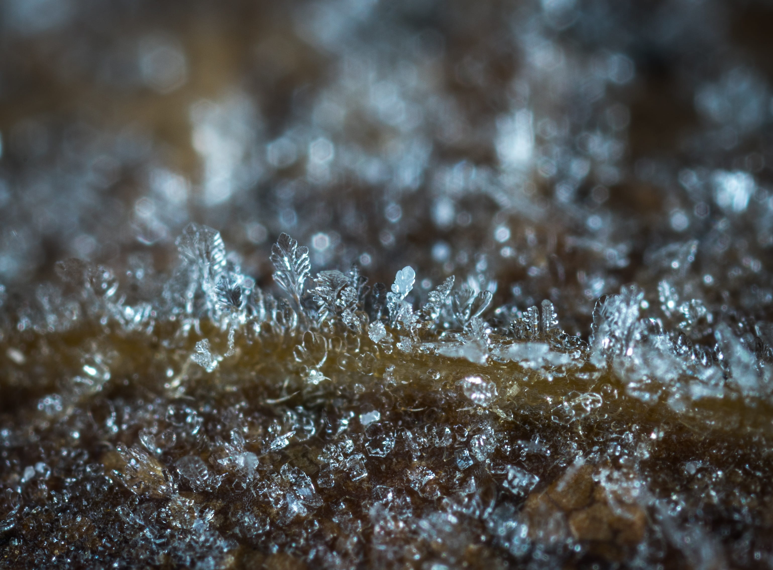beauty in nature, frozen, backgrounds, winter, nature, day, blizzard, close-up, 2K, full frame, ice, crystals, background, snowflake, extreme close-up, HD Wallpaper