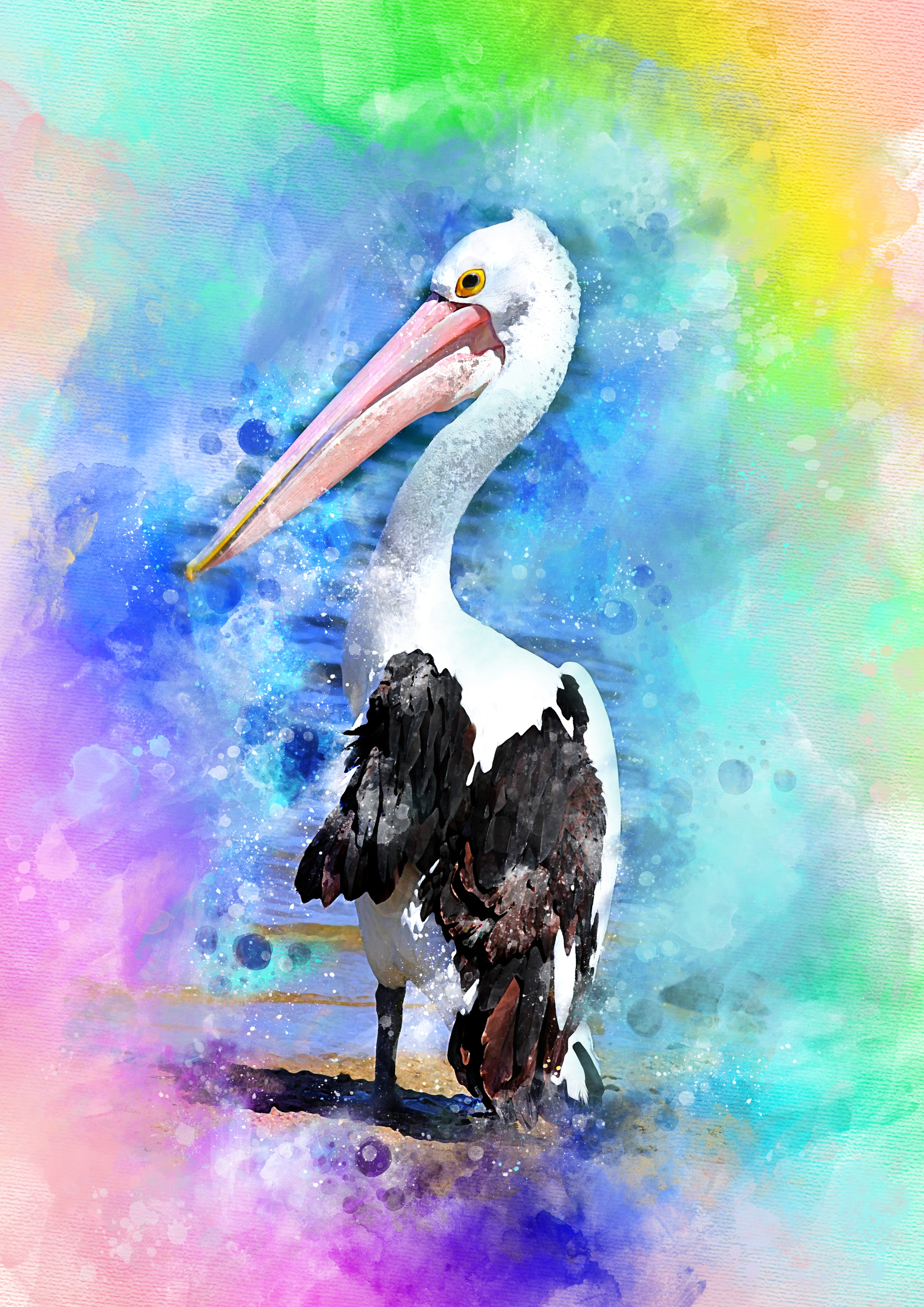 blue, head, krupnyj plan, wildlife, pelican, nature, zoo, bird, water, plumage, no people, splashing, close-up, digital art, digital manipulation, auto post production filter, Phone HD Wallpaper