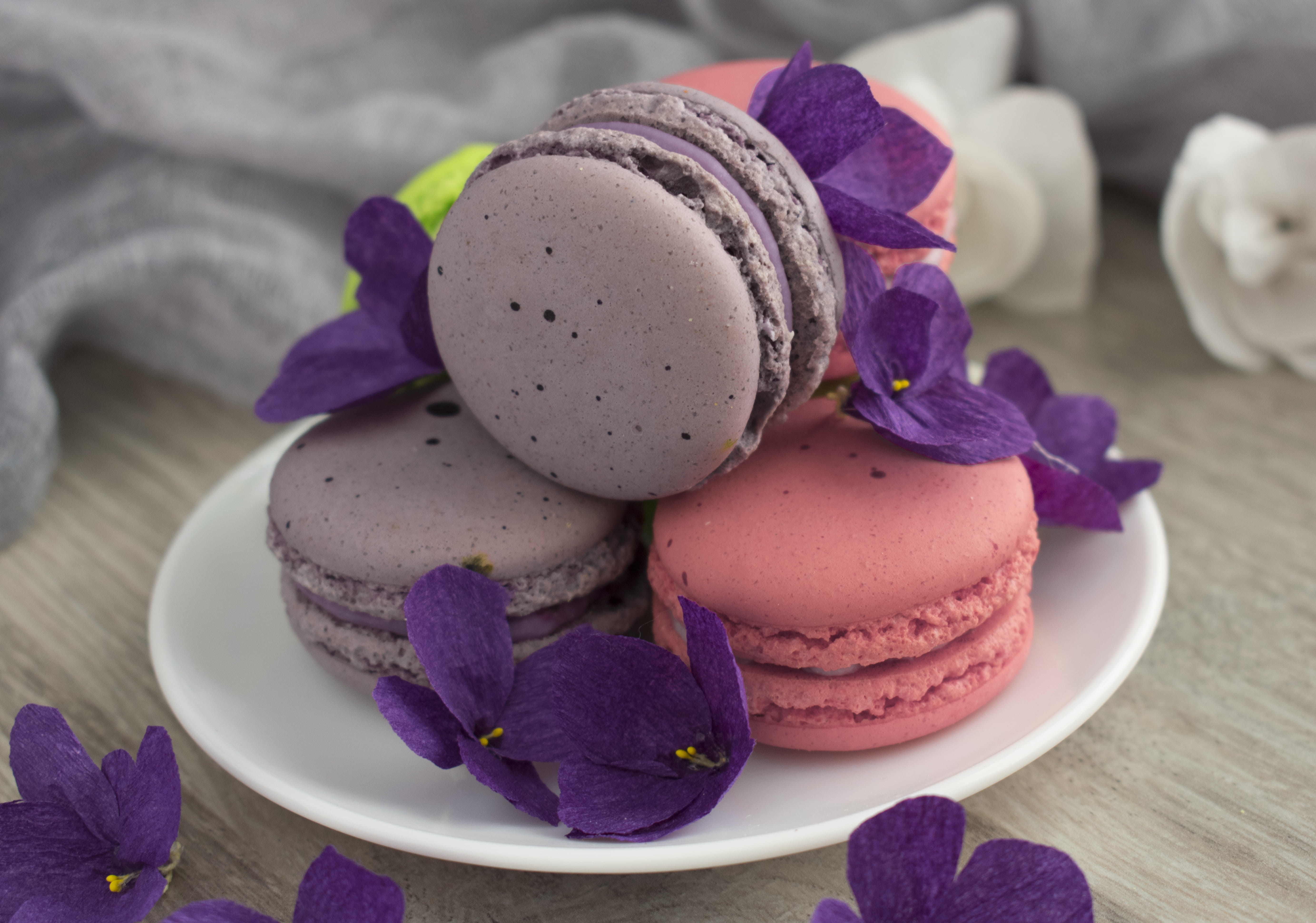 no people, baked, 5K, appetizer, table, freshness, indoors, focus on foreground, food and drink, pink, krupnyj plan, close-up, macarons, flower, cookies, HD Wallpaper