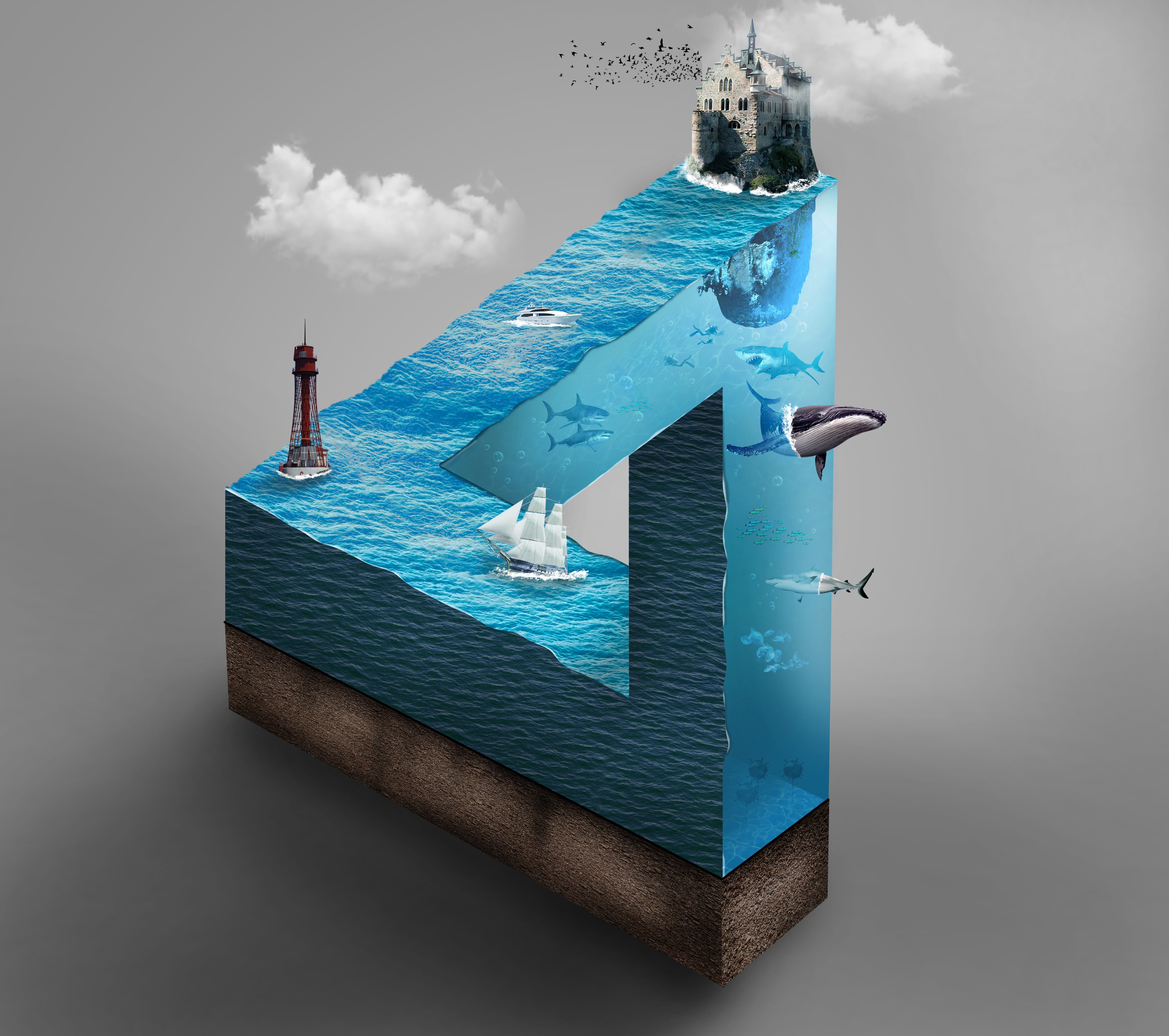 day, communication, cloud - sky, no people, close-up, studio shot, water, micro world, nature, architecture, art and craft, blue, triangle, fish, guidance, HD Wallpaper