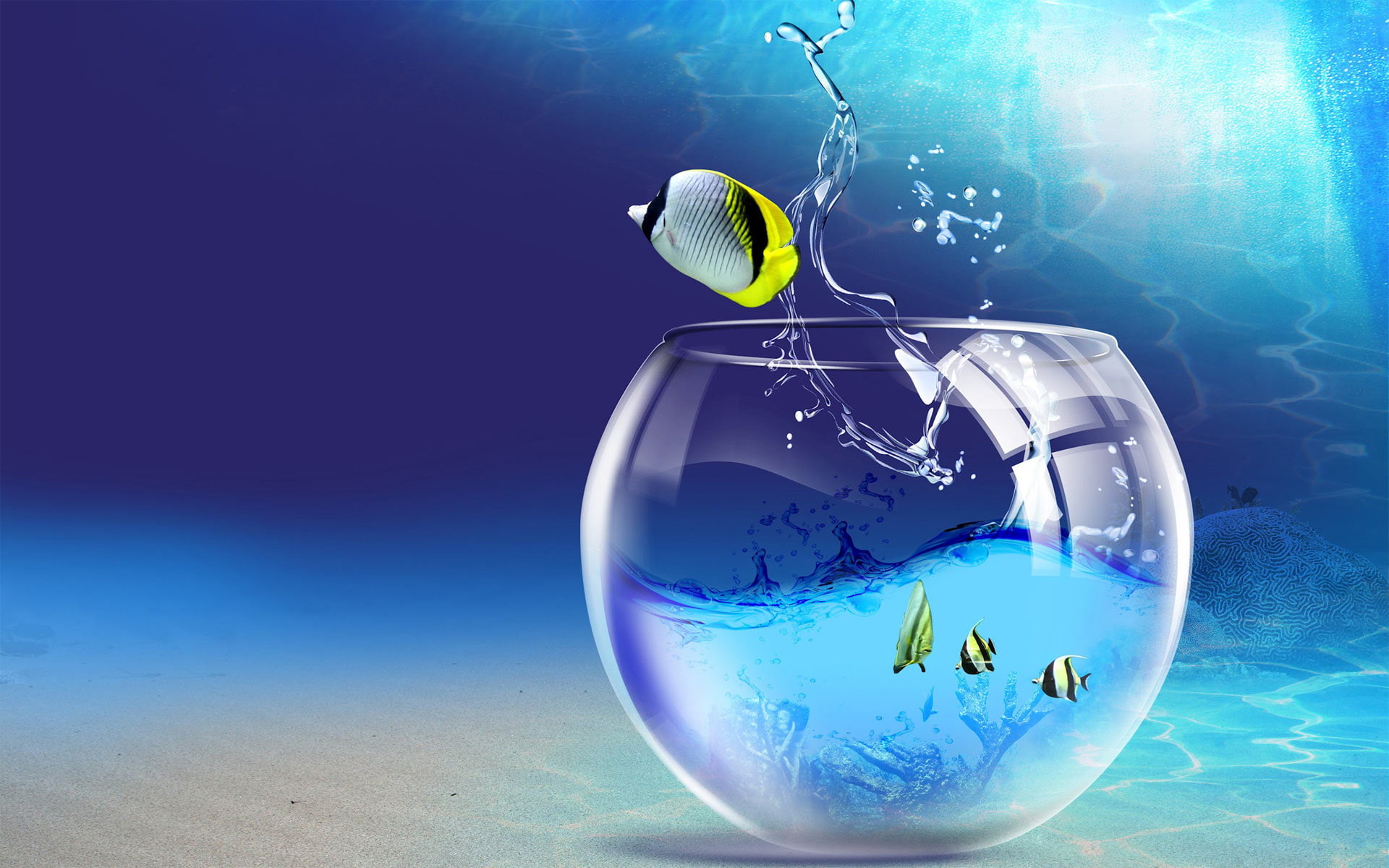 clear, underwater, global business, glass, undersea, globe - man made object, digital composite, space, business, planet - space, Fish, world map, HD Wallpaper