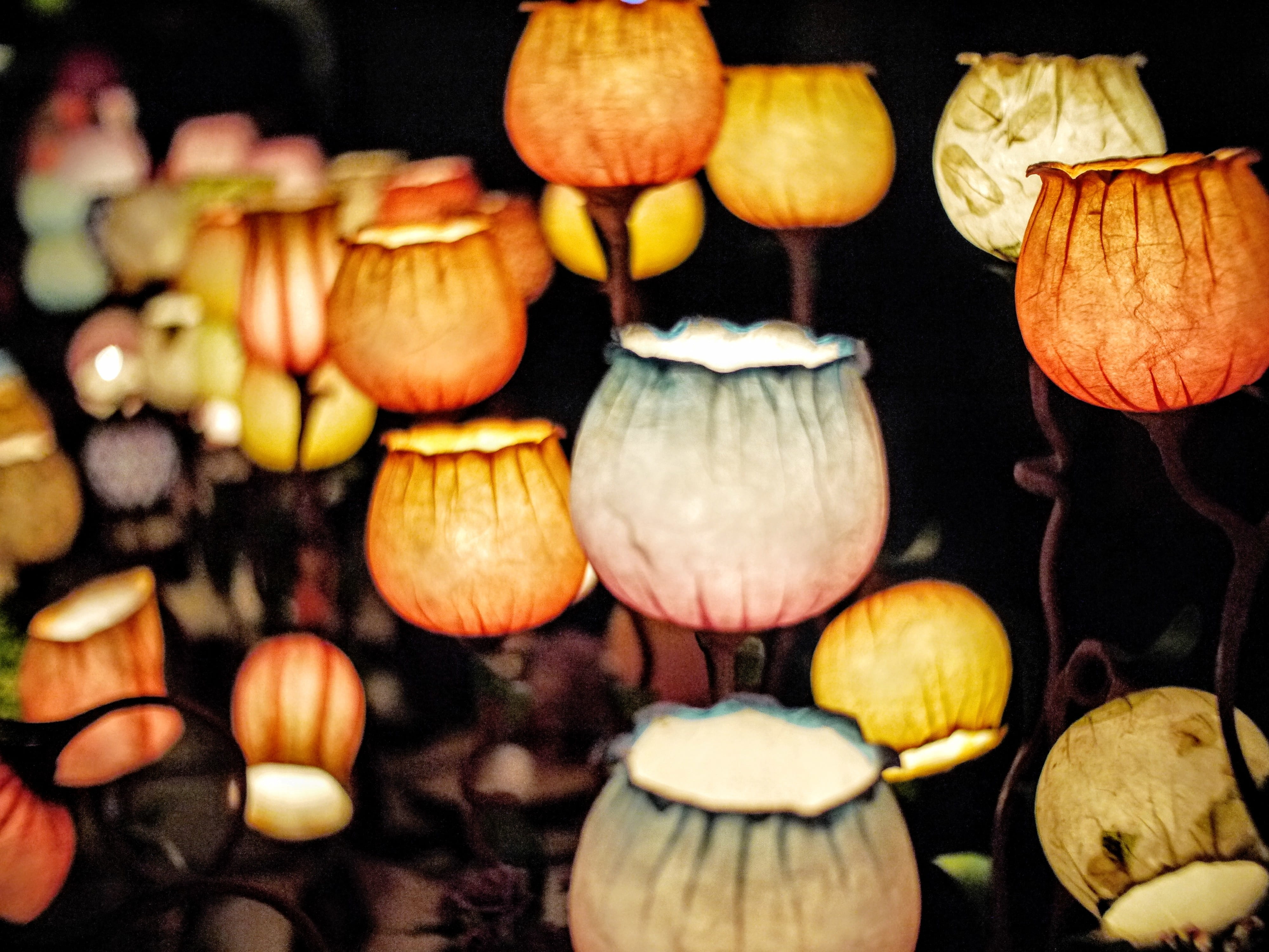 4K, colors, halloween, art, large group of objects, focus on foreground, abundance, still, lighted, studio shot, close-up, jack o lantern, decorative, HD Wallpaper