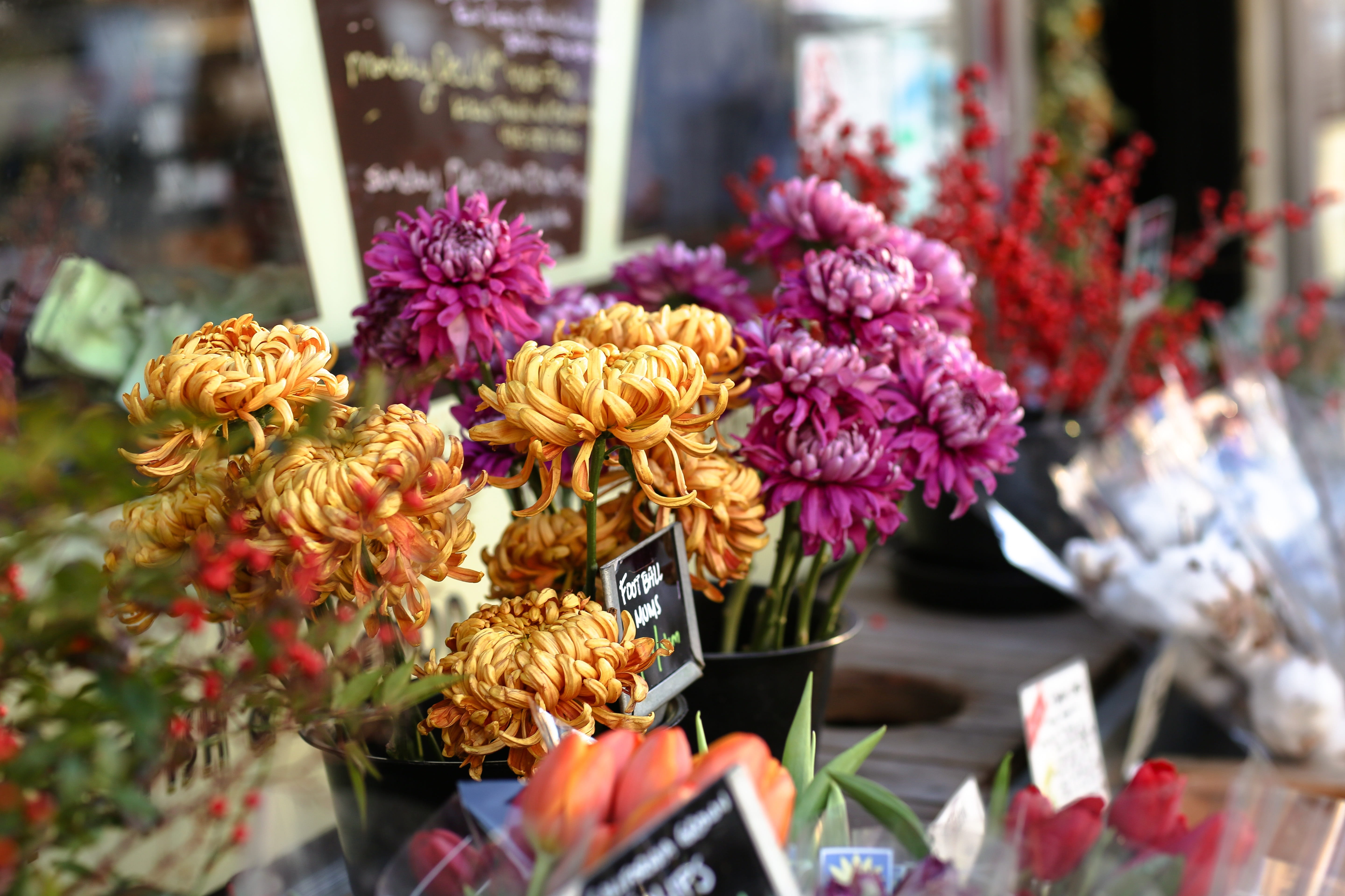 bouquet, flowers, nature, colors, flower, plant, vend, grocery, fragility, close-up, arrangement, flower shop, things, vulnerability, market, beauty in nature, HD Wallpaper