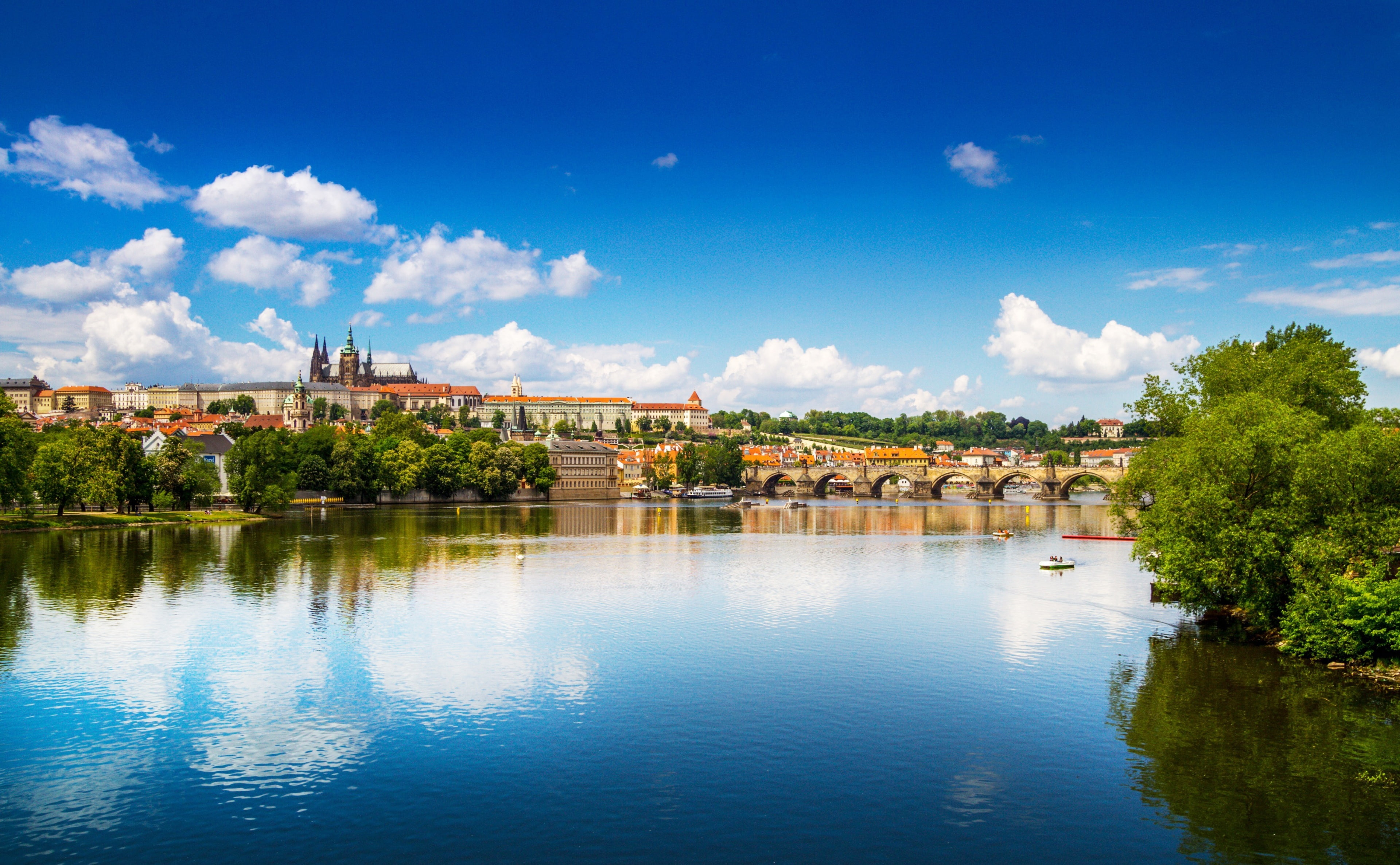 plant, City, 4K, PragueCastle, travel destinations, prague, Urban, waterfront, sky, tourism, cloud - sky, czechrepublic, castledistrict, building, Reflection, HD Wallpaper