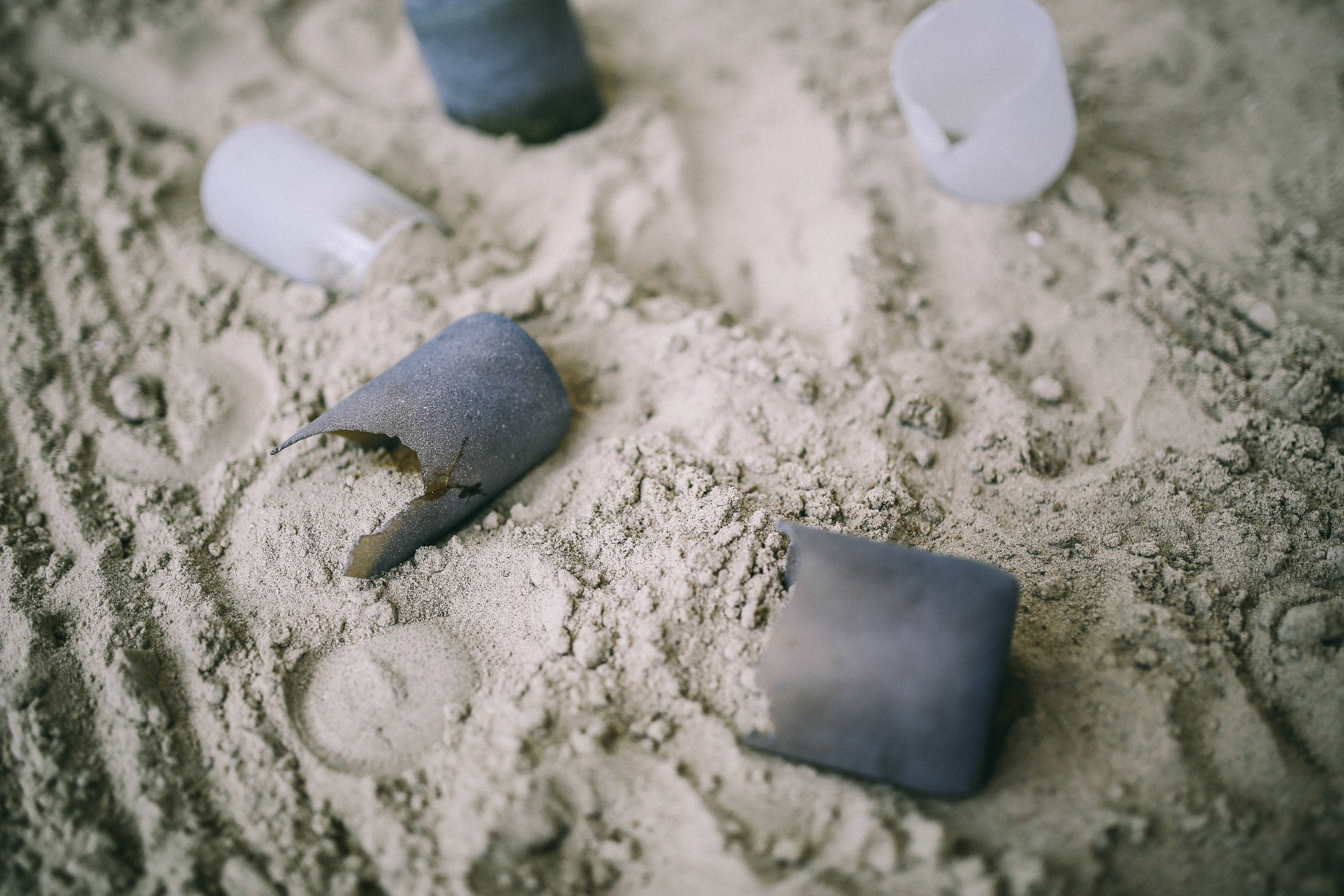 animal wildlife, 5K, high angle view, small, items, sand, seashell, water, land, nature, selective focus, beach, outdoors, close-up, no people, things, HD Wallpaper