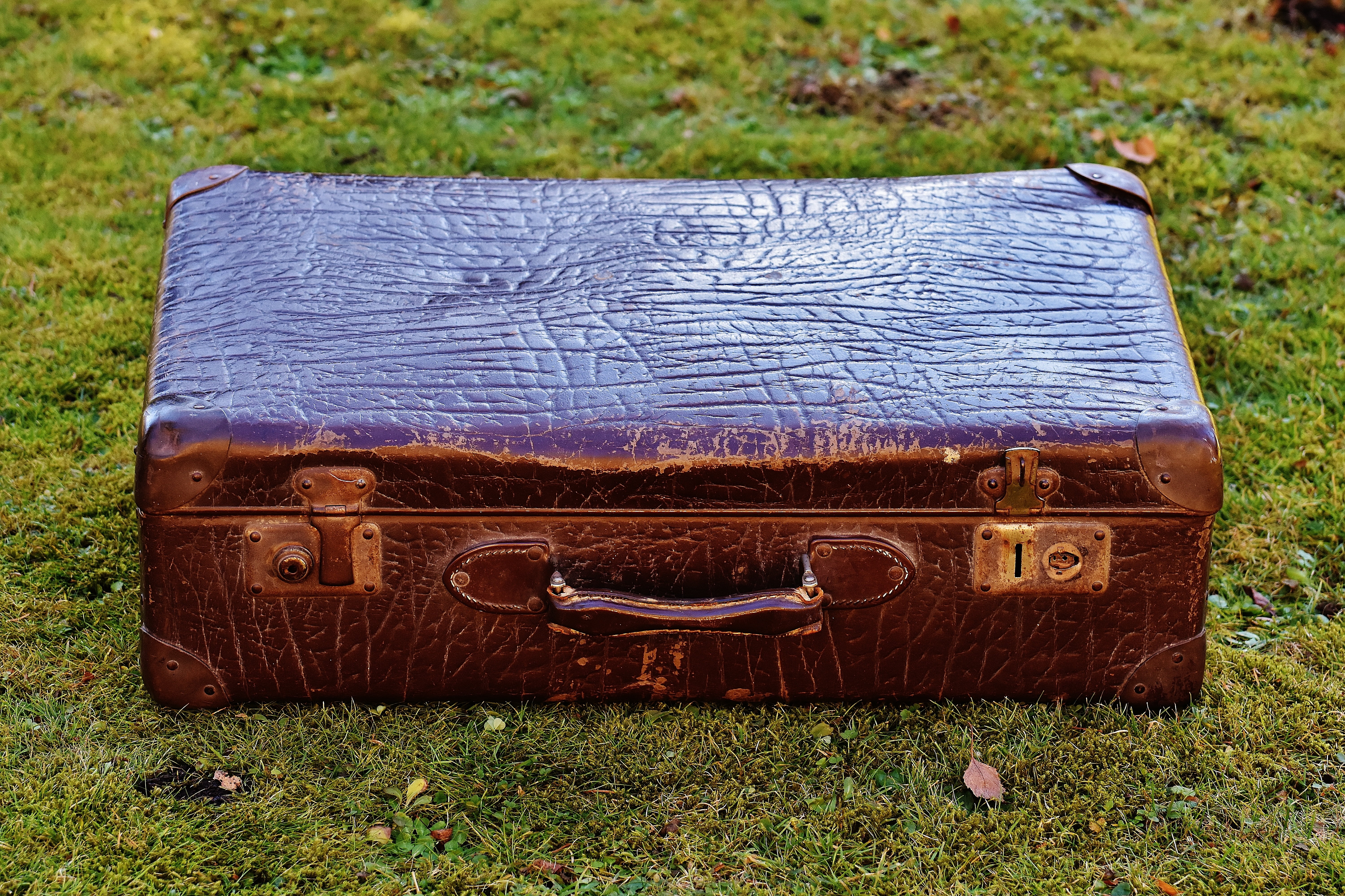 generations, field, suitcase, day, personal accessory, old suitcase, plant, 5K, outdoors, trip, leather, wood - material, old-fashioned, still life, antique, HD Wallpaper
