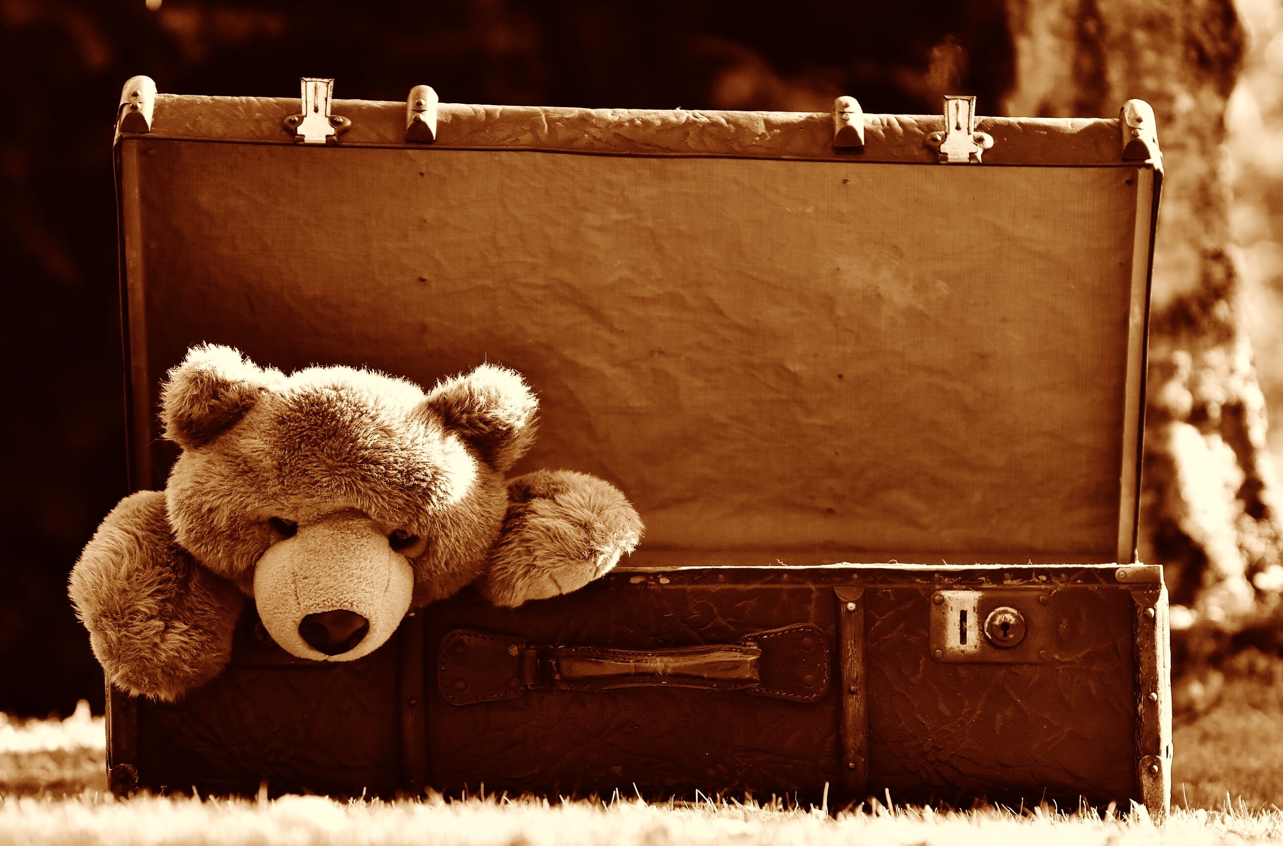 brown, teddy bear, stuffed, old-fashioned, junk, stuffed toy, old, inside, rural scene, luggage, antique, suitcase, childhood, plush, old suitcase, leather, HD Wallpaper