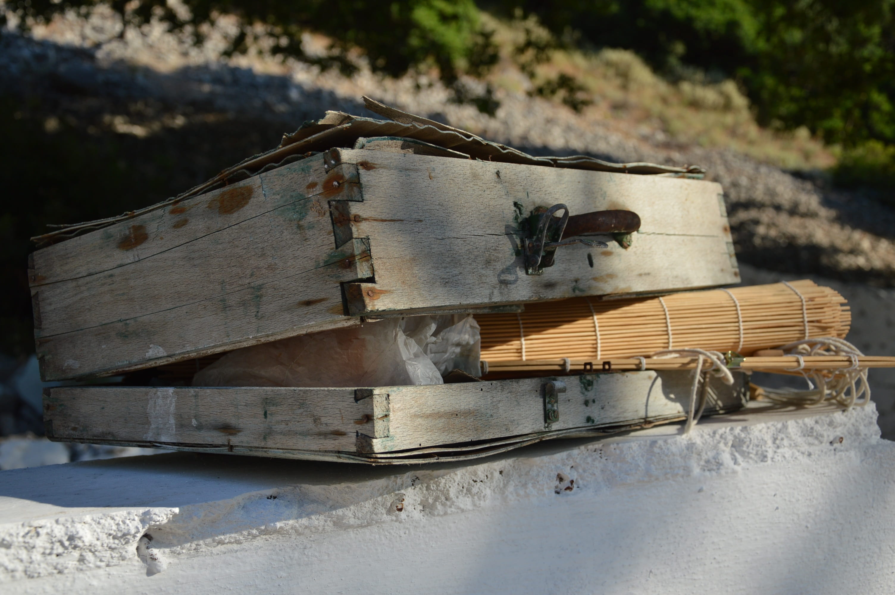 water, land, weathered, day, Old, sunlight, transportation, outdoors, 2K, architecture, damaged, plant, Vintage, metal, tree, Baggage, abandoned, close-up, HD Wallpaper