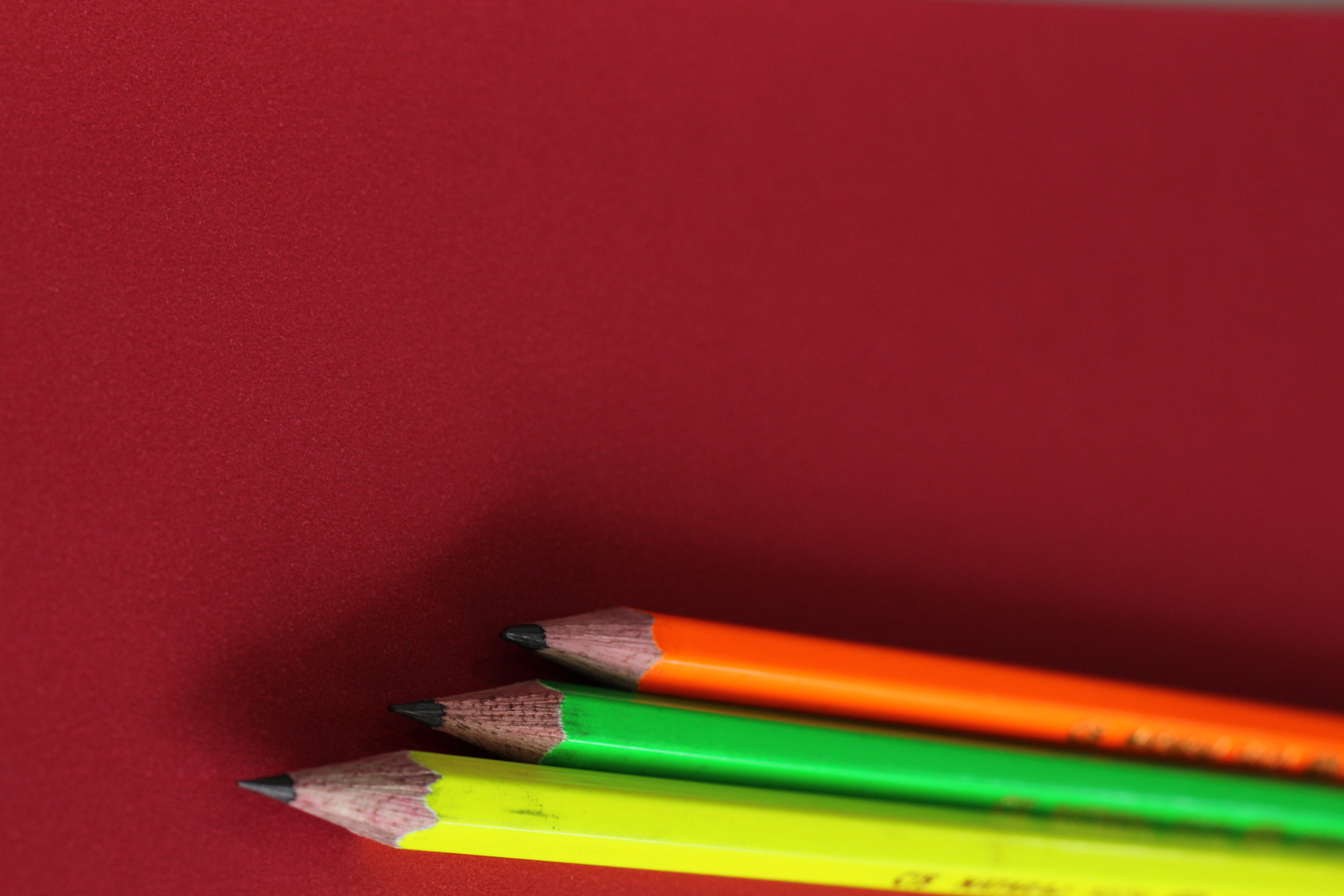 multi colored, indoors, green color, close-up, wasp, copy space, writing instrument, green, yellow, 50mm, insect, school supplies, studio shot, education, HD Wallpaper