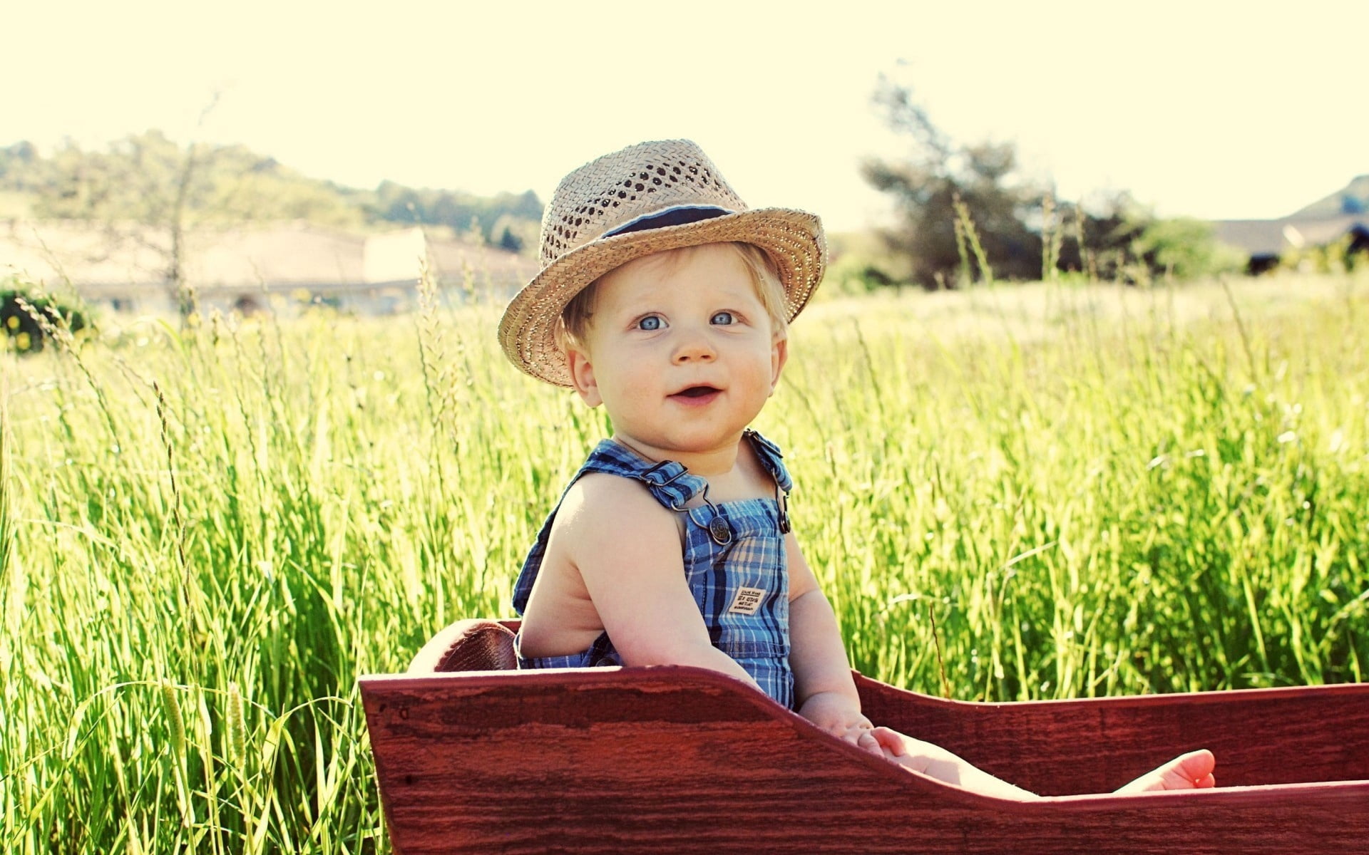 gray, nature, child, portrait, outdoors, ride, focus on foreground, small, people, happiness, caucasian Ethnicity, smiling, meadow, suitcase, hat, baby, HD Wallpaper