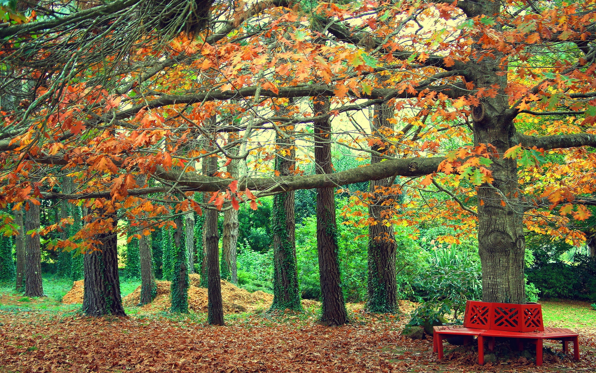 Leaves, Park, red, Bench, 1080P, metal, Yellow, Autumn, HD Wallpaper