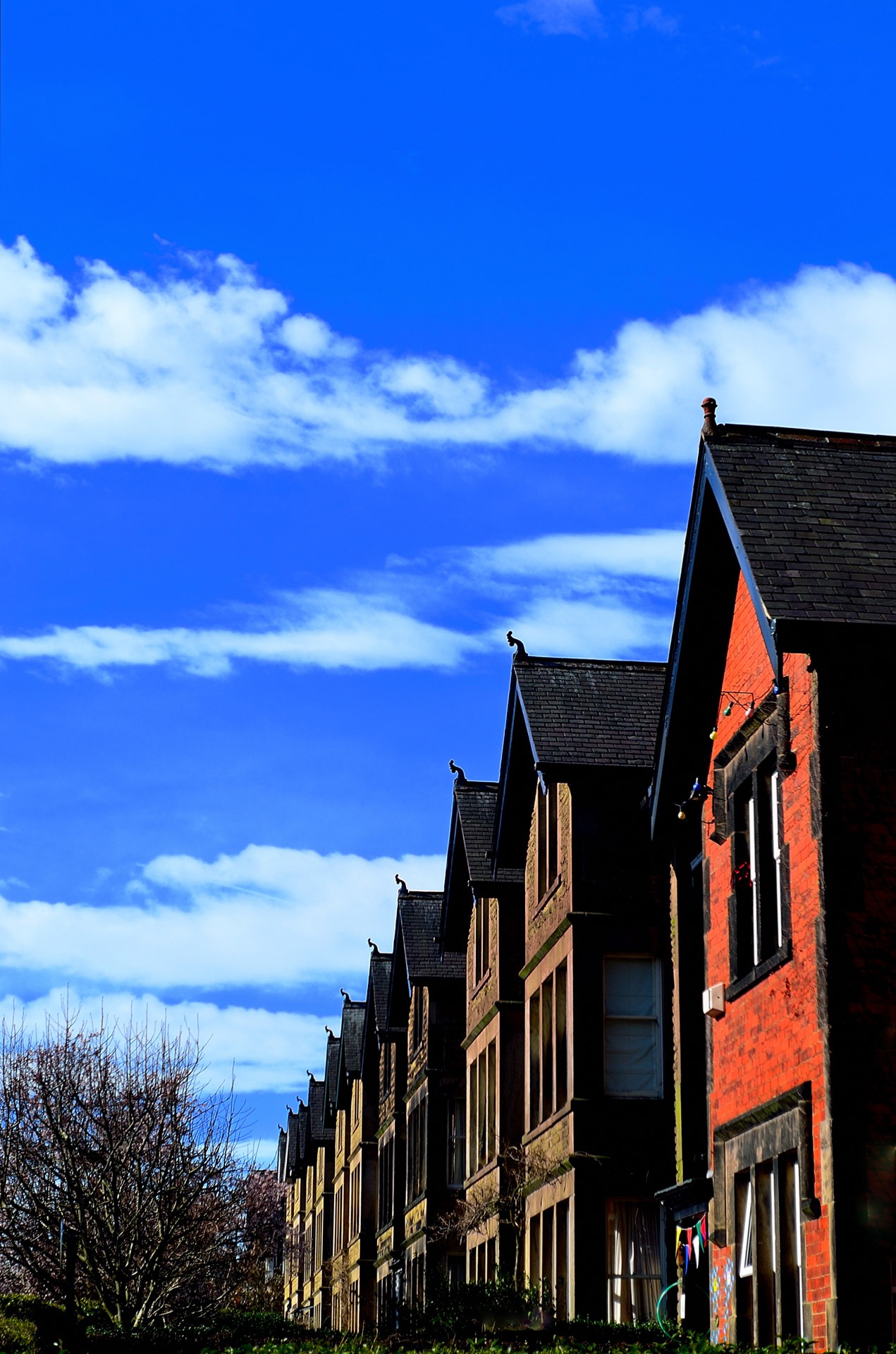 plant, life, no people, home, gardens, sky, outdoors, sunlight, nature, residential district, sale, house, blue, tree, building exterior, houses, building, Phone HD Wallpaper