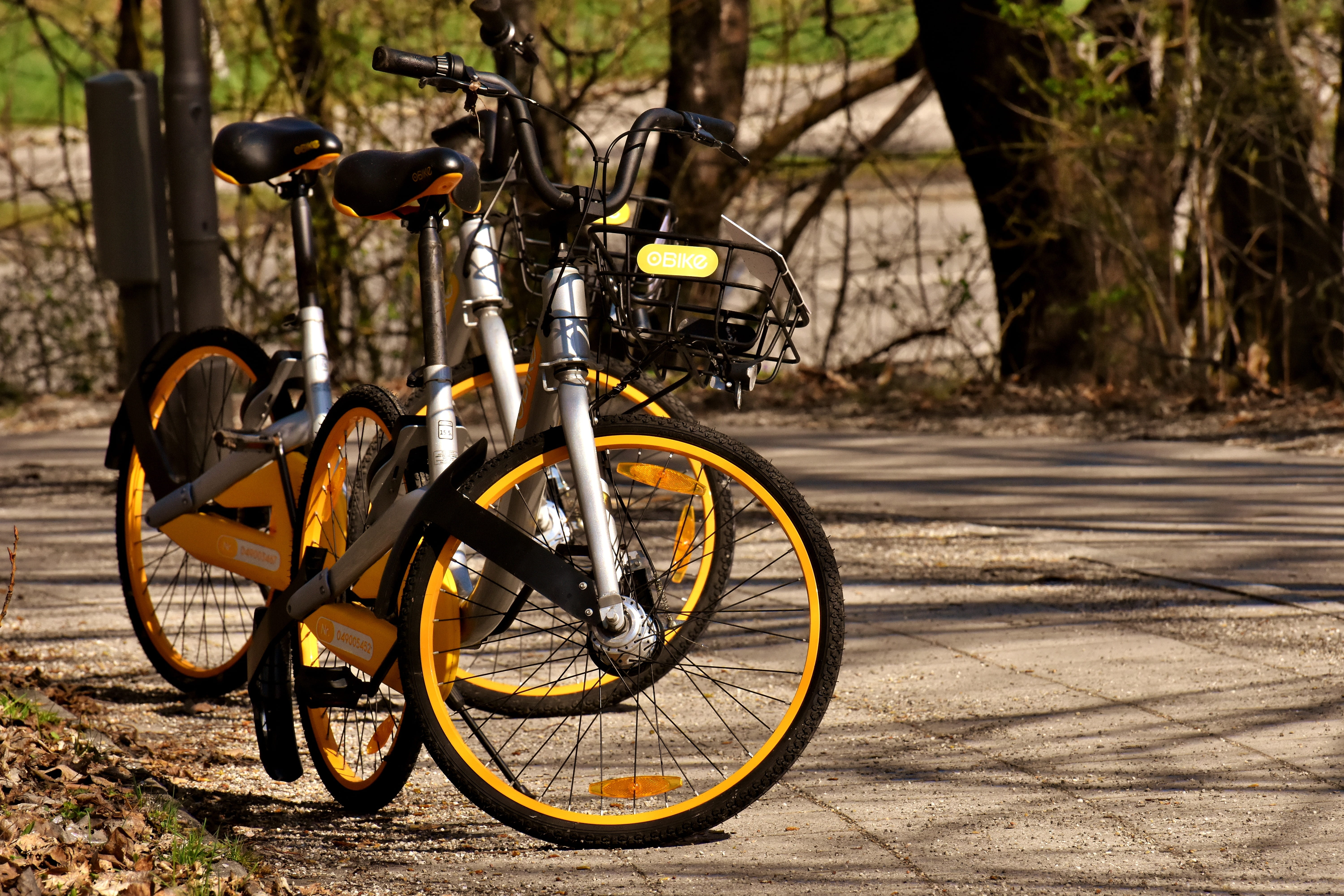no people, spoke, transportation, obike munich, street, mode of transportation, shadow, day, rent, land vehicle, plant, gray, city, tree, outdoors, city bike, HD Wallpaper