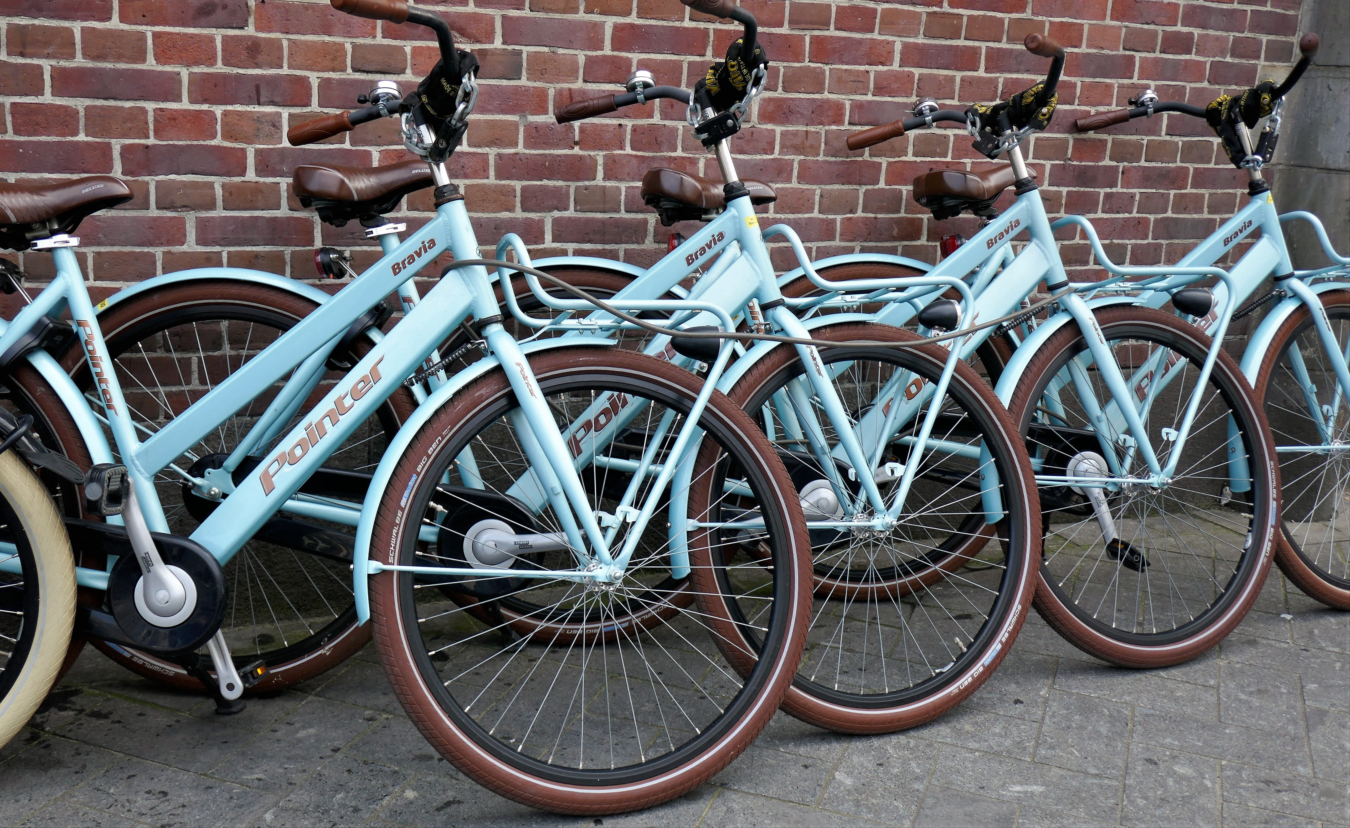 cycling, city, on the go, teal, wheel, holland, means of transport, land vehicle, bicycle tour, mode of transportation, wall, borrow, mobility, standing, HD Wallpaper