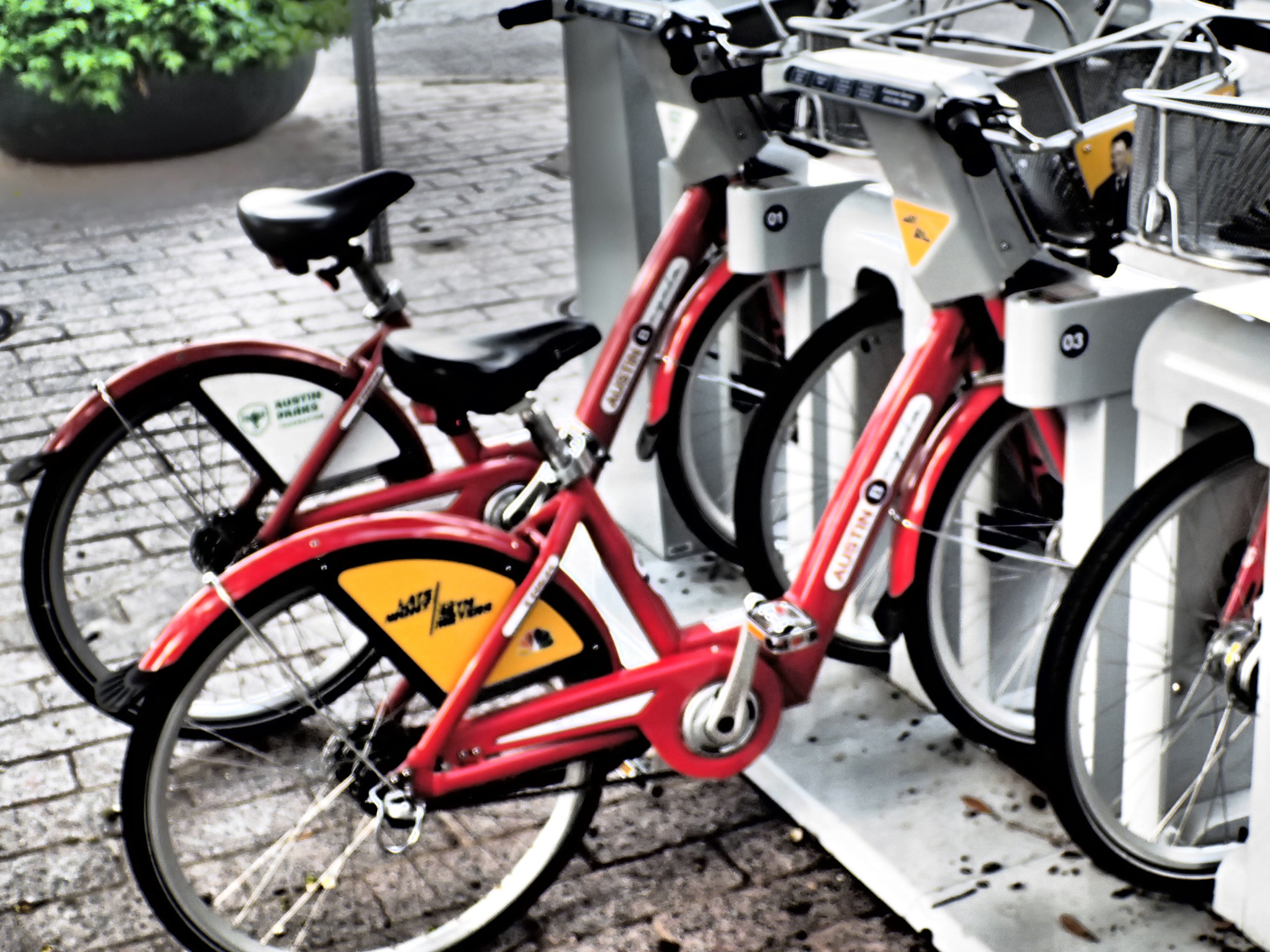 wheel, bike, sport, city bikes, mode of transportation, rack, rent a bike, street, stationary, bicycle, activity, transport, tire, 4K, metal, day, no people, HD Wallpaper