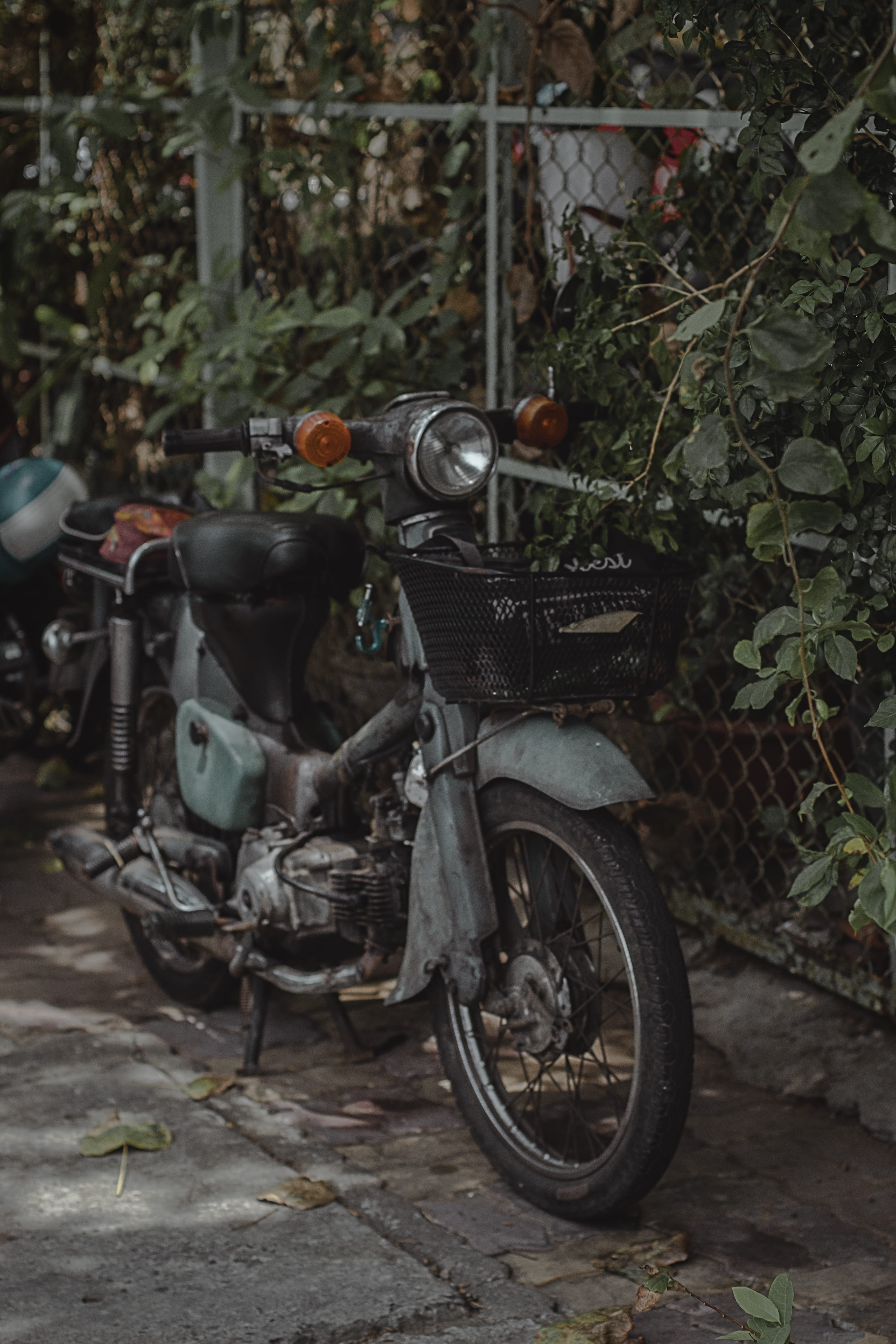 vespa, wheel, plant part, damaged, street, mode of transportation, deterioration, rent, bicycle, obsolete, bike, day, moped, stationary, steel, 5K, no people, Phone HD Wallpaper