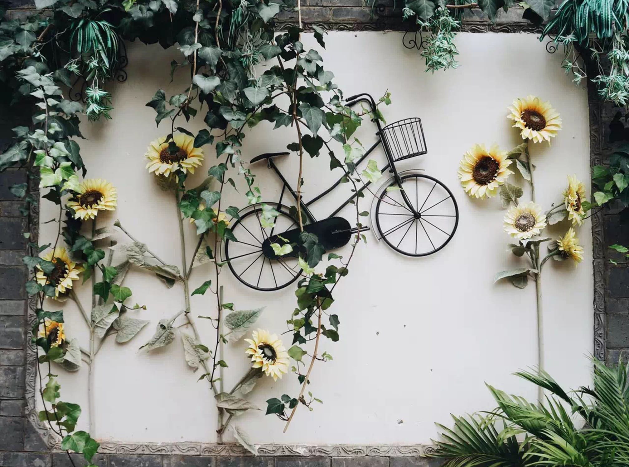 wall, brick, retro, bike, transport, white, growth, outdoors, clothing, potted plant, biking, no people, protection, day, wall - building feature, wheel, HD Wallpaper