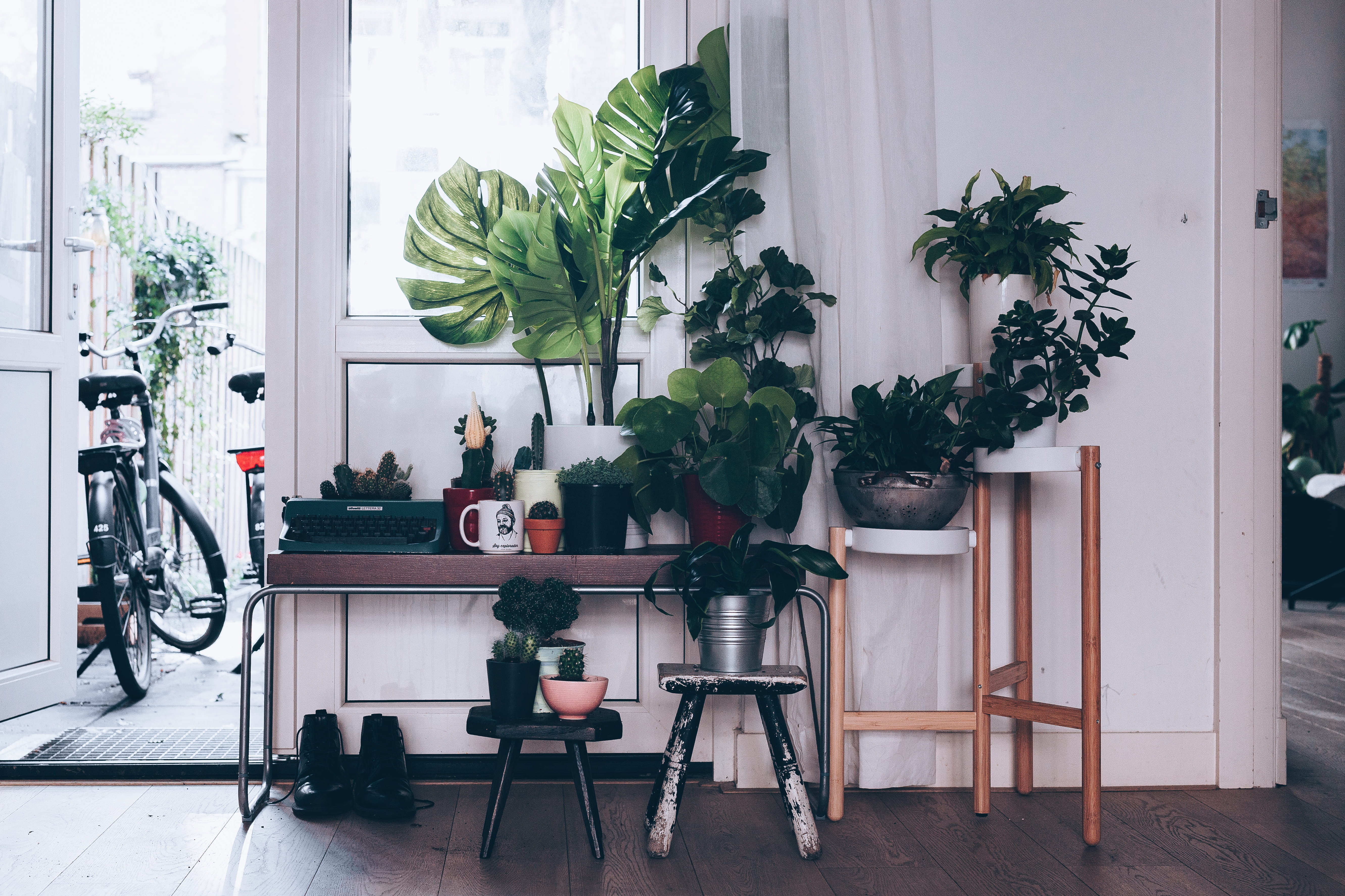scandinavian, pots, table, light, 5K, flooring, window, absence, chair, netherlands, plants, typewritter, potted plant, furniture, architecture, home interior, HD Wallpaper