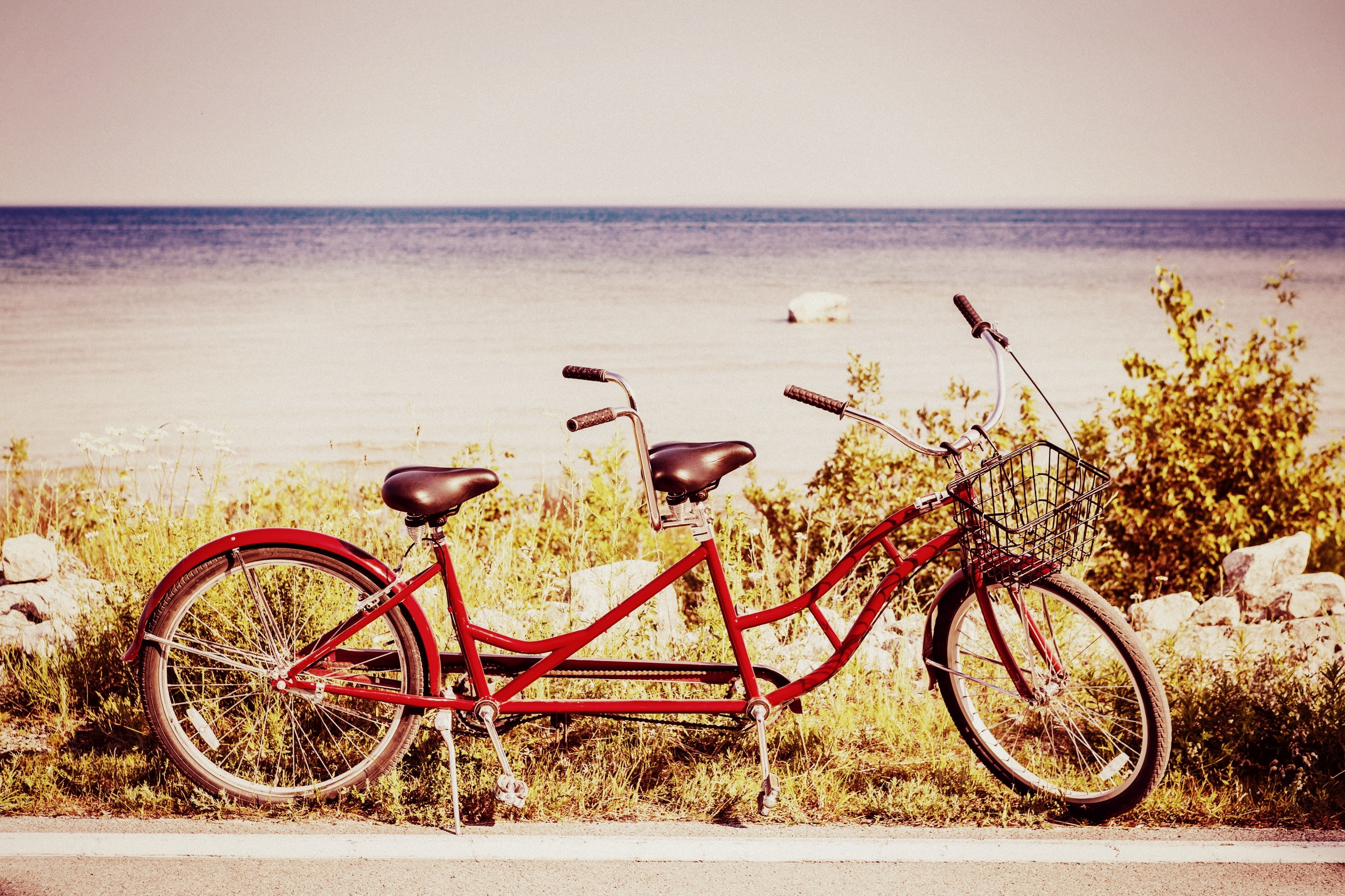 background, fullscreen, plants, basket, the sky, water, river, horizon, bicycle, greens, HD, 2K, widescreen, two seats, nature, full screen, HD Wallpaper