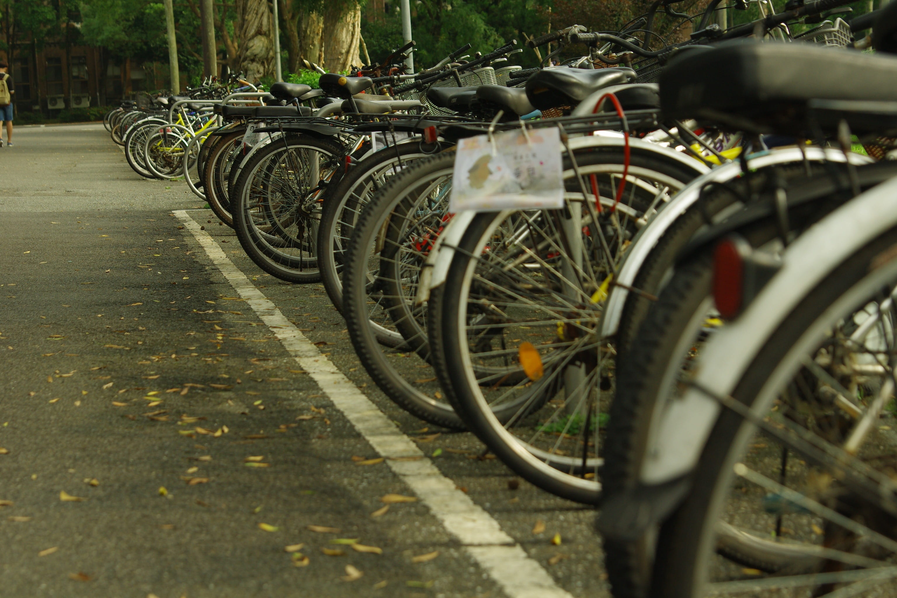 nature, outdoors, tire, bicycle, newnham, transportation, wheel, street photography, stationary, street, 2K, day, parking lot, in a row, spoke, no people, HD Wallpaper