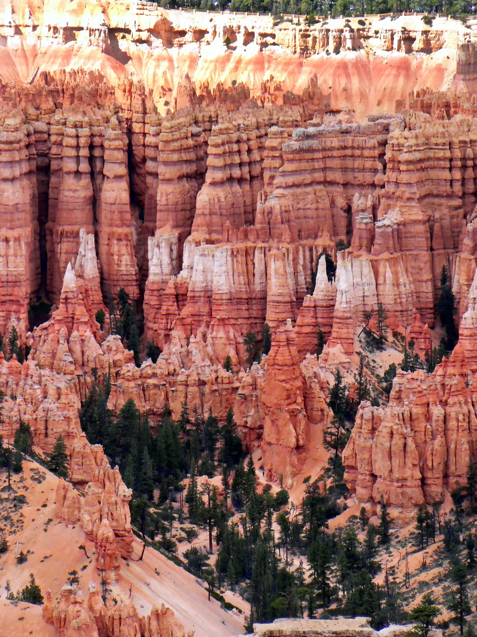scenics - nature, pink, bryce canyon, travel, travel destinations, rock, tourist site, hoodoos, color, solid, climate, non-urban scene, wonders, tourism, Phone HD Wallpaper