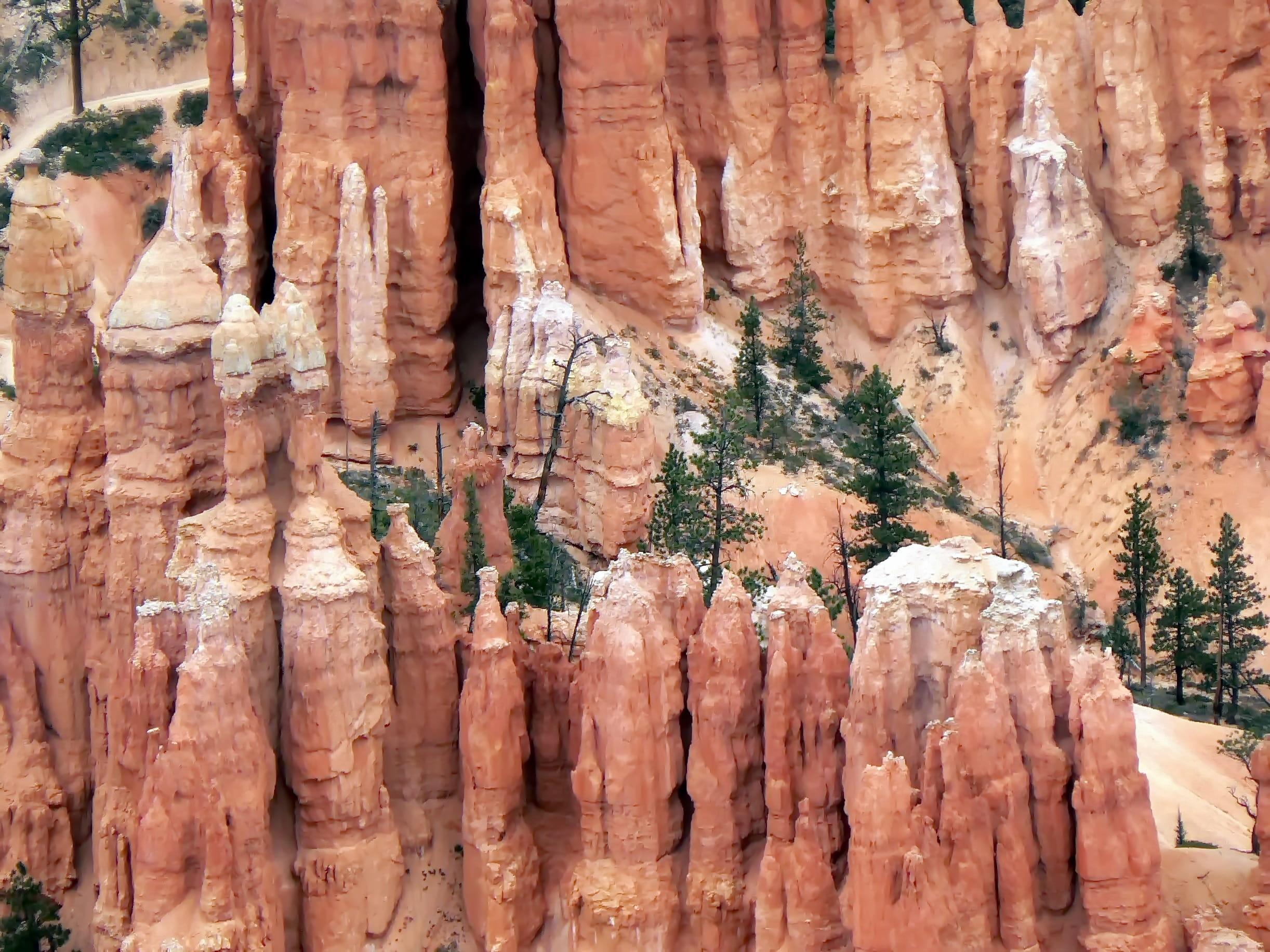 non-urban scene, eroded, tourism, outdoors, tranquility, rock formation, solid, national park, 1080P, pink, rock, rock - object, physical geography, travel destinations, HD Wallpaper